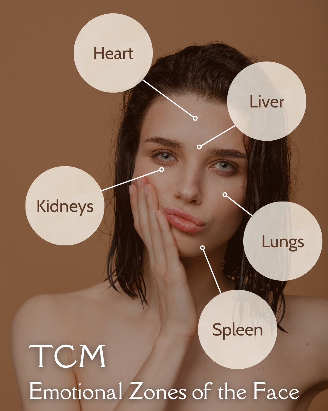 Your face is more than expression — in TCM, it’s a map of your inner world and emotions don’t just live in the heart — they show up on your face.
In Traditional Chinese Medicine, the face reflects the health of your internal organs, not just through complexion and skin quality — but also in how you express emotion.
Each area of the face corresponds to a different organ system, and with it, a different emotional tone. When there's imbalance, it can show up as tension, color changes, breakouts, puffiness, or even subtle changes in expression.
✨ Here’s a simple emotional face map in TCM:
❤️ Forehead – Heart & Mind (Shen):
Associated with joy, clarity, and consciousness. Tension or deep lines here can reflect overthinking, insomnia, or Heart Fire.
🌬 Between the eyebrows – Liver:
This is the zone of unexpressed anger and frustration. A furrowed brow or deep “11 lines” may indicate Liver Qi stagnation.
🌊 Under the eyes – Kidneys:
Linked to fear, exhaustion, and inherited energy. Puffiness, dark circles, or hollowness here often signal depletion or chronic stress.
🌿 Cheeks – Lungs:
This is where grief and sadness often live. Flushed cheeks, dryness, or sagging can reflect Lung imbalance or unprocessed sorrow.
🍲 Chin & jaw – Stomach & Hormonal Balance (often related to Liver & Spleen too):
Connected to worry, control, and digestive or hormonal regulation. Breakouts, tension, or redness here may reflect Spleen or Liver involvement.
This map is never about judgment — it’s about listening. Your face tells the story of your body’s inner landscape, and acupuncture helps bring those patterns back into balance.
If your face is showing signs of stress, tension, or emotion you can’t quite name — acupuncture can help harmonize what’s within and bring peace to what shows up on the surface. Or, ask me about guasha for the face 😉
#FaceMappingTCM #EmotionsAndOrgans #HeartOnYourFace #ChineseMedicineWisdom #InnerBalanceOuterGlow