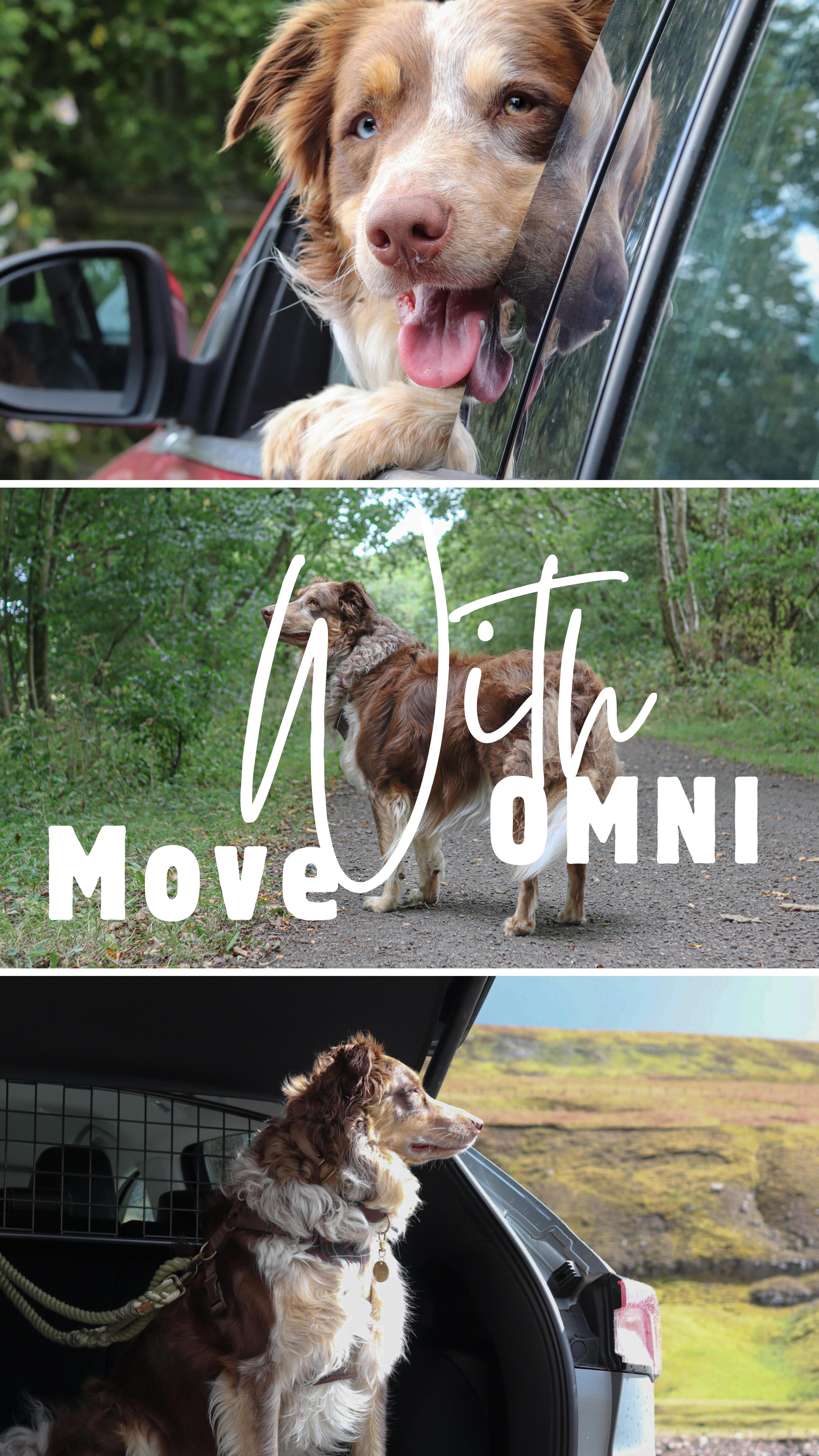 Windows down, ears in the wind, paws ready for the next adventure… that’s how we roll.
For us, it’s not just about the walk—it’s about the freedom to move with ease.
That’s why Omni Joint + Mobility is part of our everyday routine, keeping those wiggly hips and zoomy legs happy for all the miles ahead. 💪🏻🐕
Because adventures are better when nothing holds those paws back. 💛
#ad #MoveWithOmni #OmniPets #DogMumLife