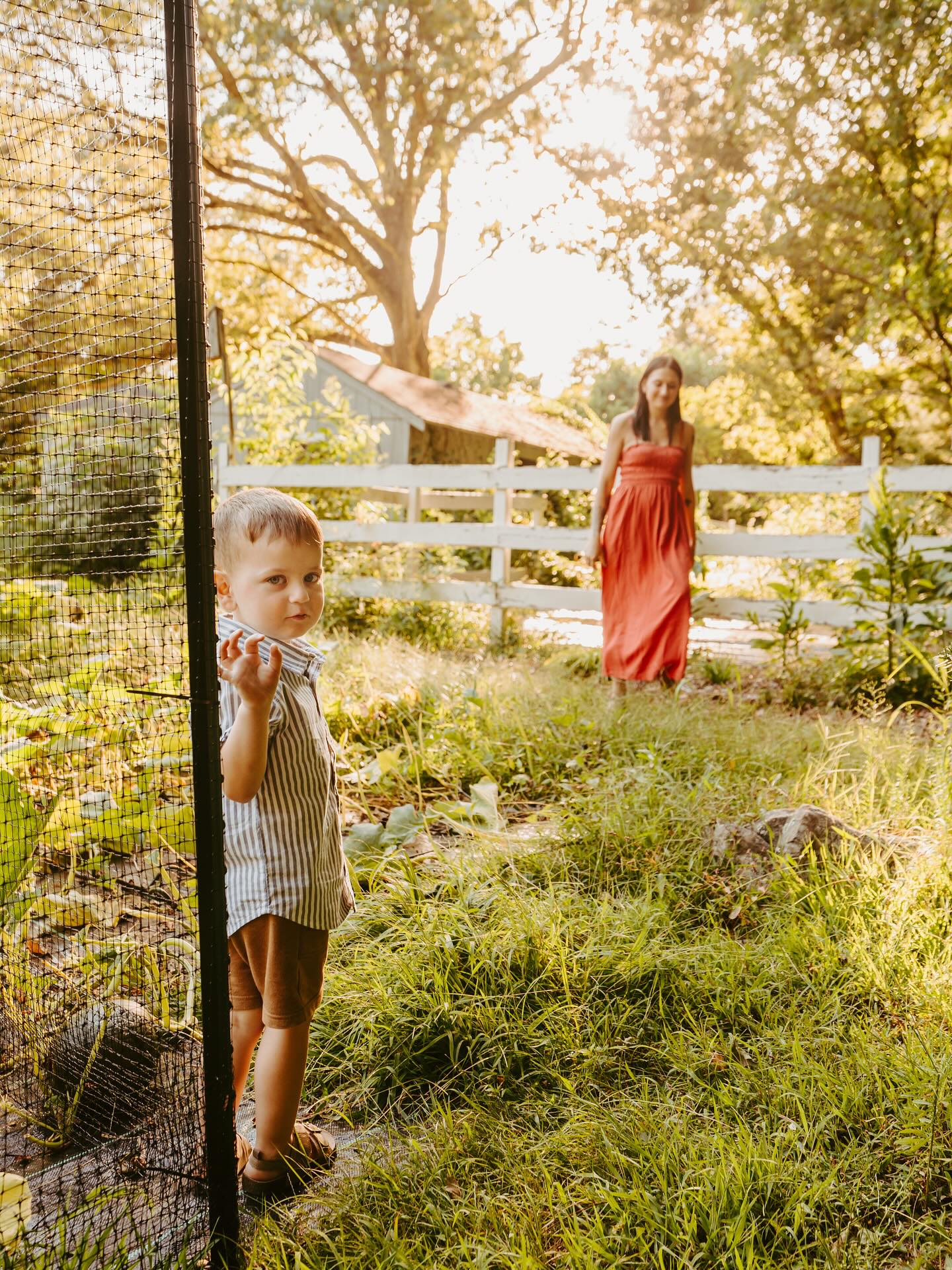 Just a boy and his yard….