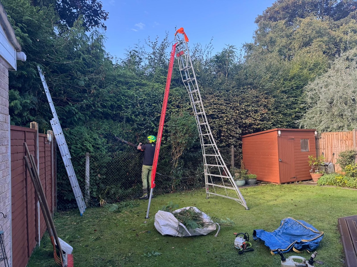 Before & After 📸
✨ Hedge glow-up complete! ✨
This beauty was looking a little wild – tall, wide, and in need of a serious tidy. We gave it a full reduction, brought it back down to size, and finished with a crisp trim on top for that clean, sharp look. 🌿✂️
The difference is night and day – and the best part? Our lovely customer was over the moon and left us a glowing ⭐⭐⭐⭐⭐ review! 🙌
Another garden looking fresh and ready to enjoy! 🍃💚
#HedgeTrim #GardenCare #BeforeAndAfter #5StarService #GardenGlowUp