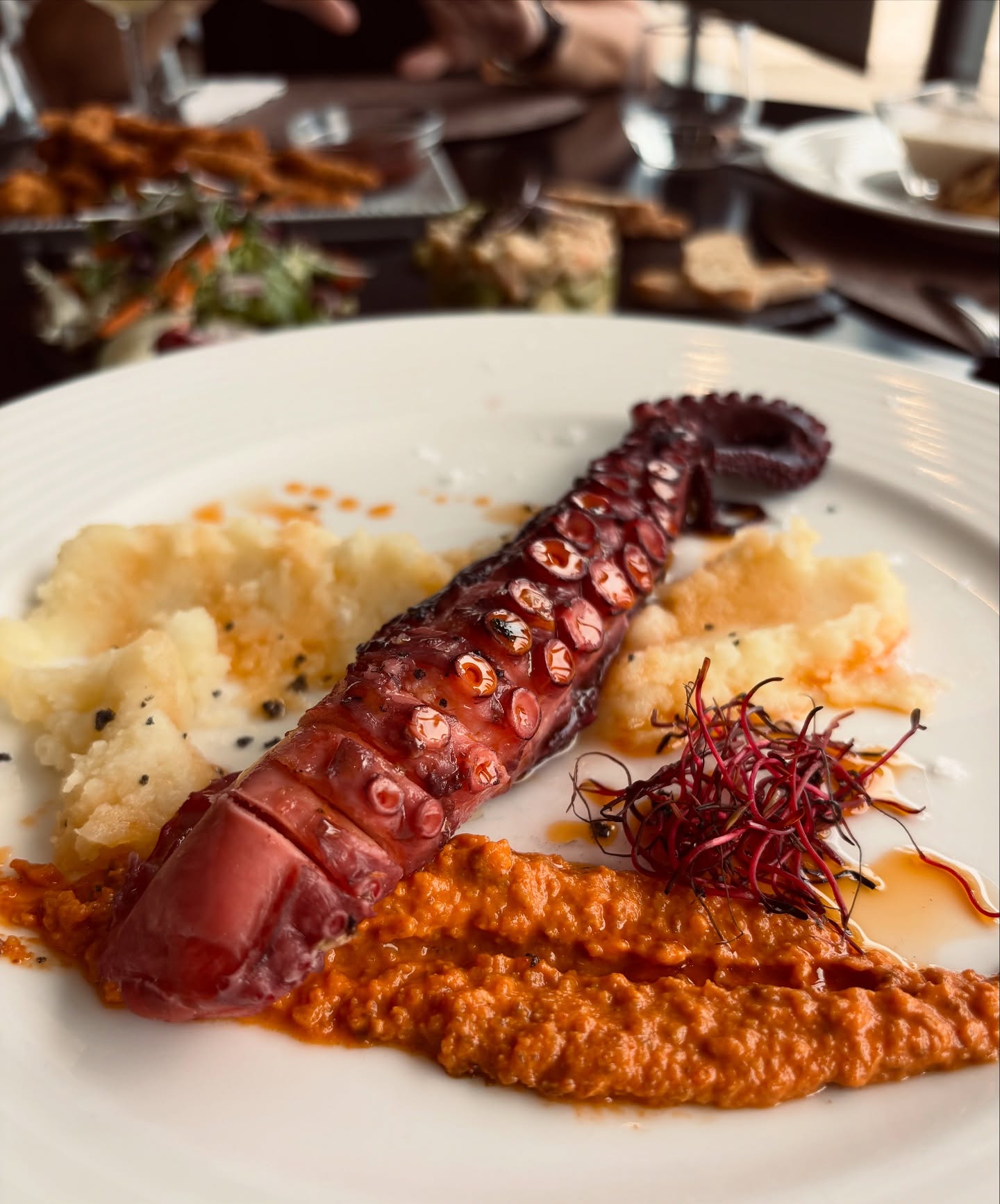 Un plato que combina lo mejor del mar con el arte en la cocina 🐙
Nuestro pulpo, tierno y lleno de sabor, es la elección perfecta para quienes buscan una experiencia única en cada bocado.
✨ ¿Te animas a probarlo?
📍 Ctra. Cambriks, Km 1.8, 43206 Reus