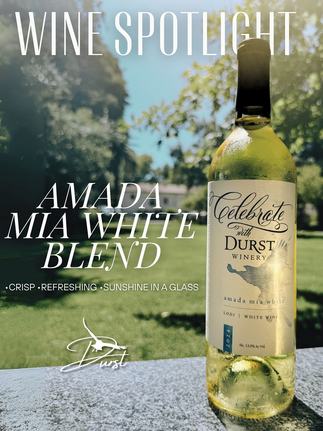 Say hello to your new favorite sip.🌼
Amada Mia White is crisp, refreshing, and made for sunny afternoons in the garden. Pair it with seafood, salads, or good company. 🥂
You could be sipping this today… who’s coming?
#DurstWinery #DurstMoments #LodiWine”