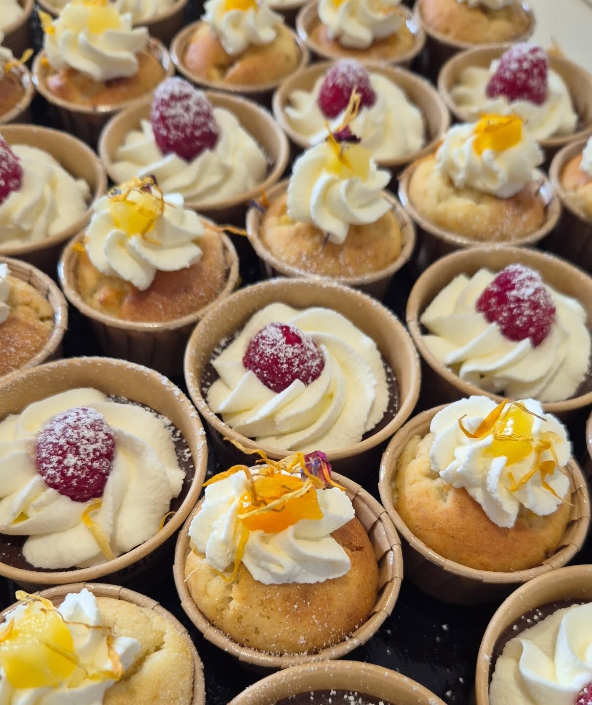 Petit plateau de douceurs pour les anciens d’Aix-en-othe
🍑🍍🥭Cupcake fruits jaunes
🍫Crémeux chocolat liégeois
#mignardisessucrées #cupcakes #cremechocolat #liegoischocolat #traiteuranniversaire #traiteuryonne #traiteur #traiteurentreprise #troyeschampagnemetropole #traiteurbaptême #traiteurtroyes