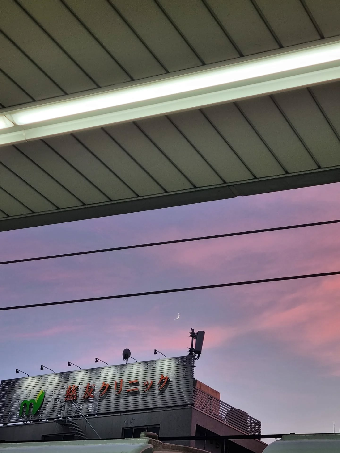 Comme mon feed manquait un peu de Japon suite à la promo du Bureau des Âmes, je vous partage quelques souvenirs d'été. Entre masturi, expo et couchers de soleil incroyables 🎆
Mots-clés : Vivre au Japon - vie d'autrice - Japon - quotidien - Tokyo - summer recap
Hashtags : #vivreaujapon #viedauteur #viedautrice #viejaponaise #kyotojapan #ujimatcha #tokyolife #summerinthecity