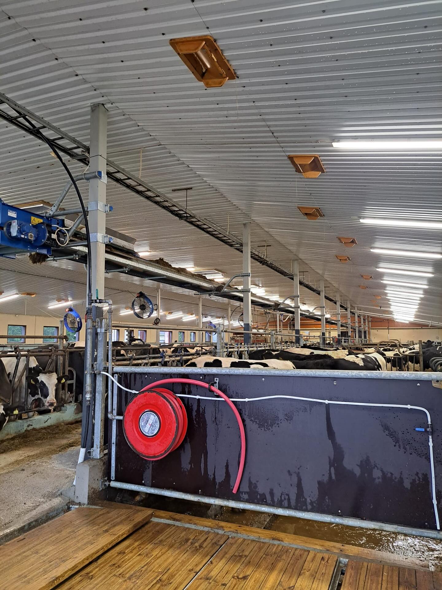 Arvonta!
Syksyn kiireet ovat täydessä vauhdissa ja me Pesupojat olemme valmiina hoitamaan navettojen pesut ja lantakäytävien uritukset nopeasti, luotettavasti ja edullisesti.
Kartoitamme nyt tulevia tarpeitanne lyhyen kyselyn avulla ja tähän löytyy linkki biosta.
Miksi vastata juuri nyt?
✅ Syksylle on vielä vapaita aikoja
✅ Alustava varaus ja tarjous ensi vuodelle – kevään kiireet kuriin!
✅ Vastaa 31.10.2025 mennessä ja voit voittaa tiimimme käyttöösi 6 tunniksi veloituksetta!