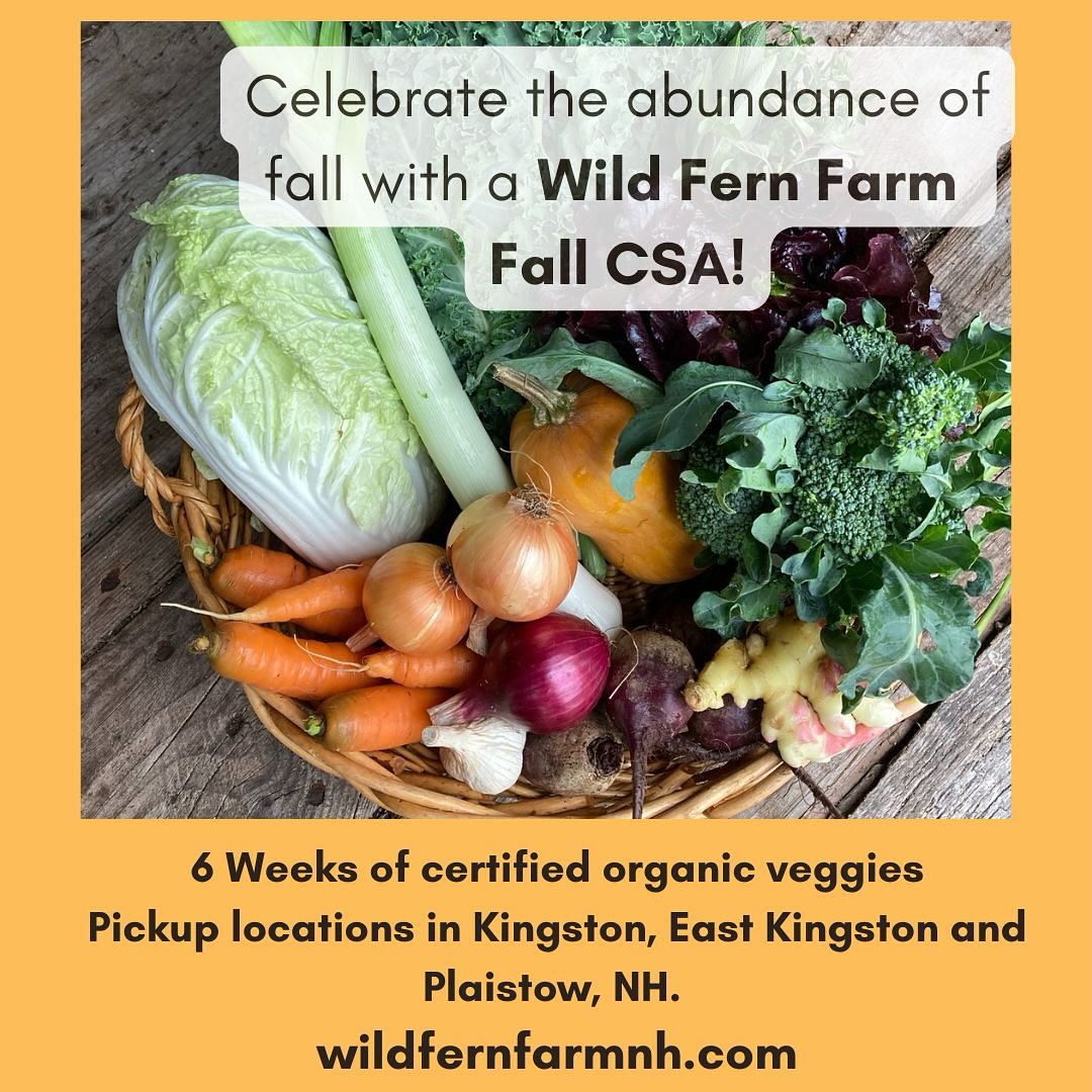 6 week Fall CSA share spots are going fast!
Certified organic veggies grown in Kingston, NH.
A weekly mix of frost kissed greens and roots with hearty squash, potatoes and herbs. Oct 16th-Nov20th.
Are you CSA curious? A fall membership can be a perfect way to try out a CSA. Link in bio.