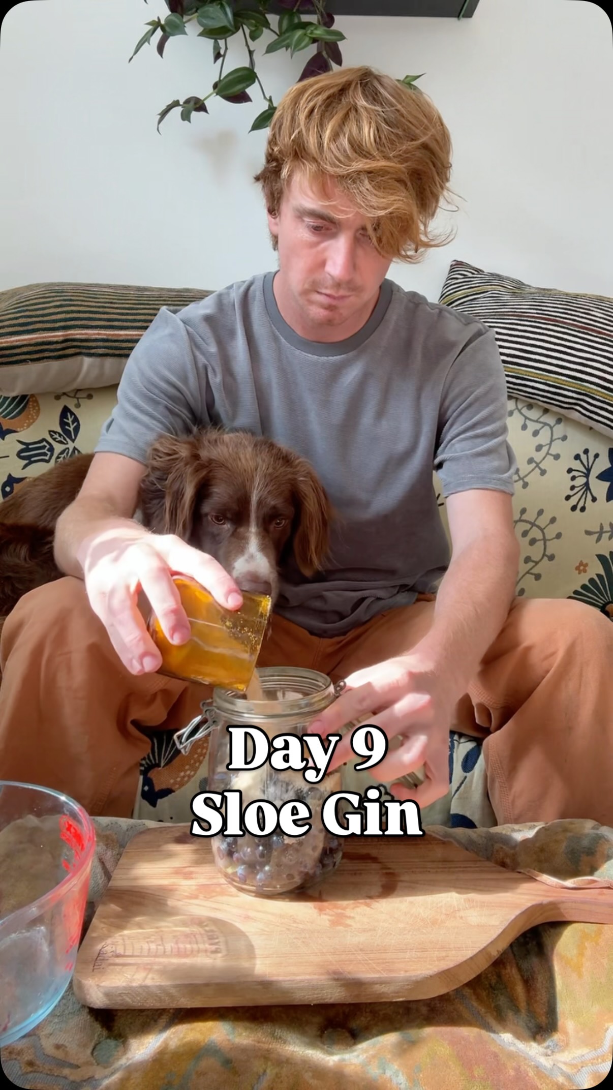 Follow @mindinnature for the journey. These are sloes from the blackthorn tree (prunus spinosa), famed for their deep and delicious flavour when combined with gin, but also delicious as a jam and even fresh once they’re soft.
This recipe is really simple:
500g sloes
1L gin
250g golden caster sugar.
Once the sloes are picked (be careful of the thorns!) pick off any additional stems or leaves and put them in the freezer overnight. If it is past the first frost, you can skip this step. You can also prick over them with a fork instead.
Defrost them and pop them into a sealable jar with the sugar and gin. Give a very good shake once a day for a week, then store in a cool, dark place for a year. You can use it after 3 months if you’re desperate, but many people recommend waiting for 2 years for the best flavour.
Enjoy! And let me know in the comments if you have tried it, and what you think!
#sloes #sloegin #foraging #wildberries #wildcocktails