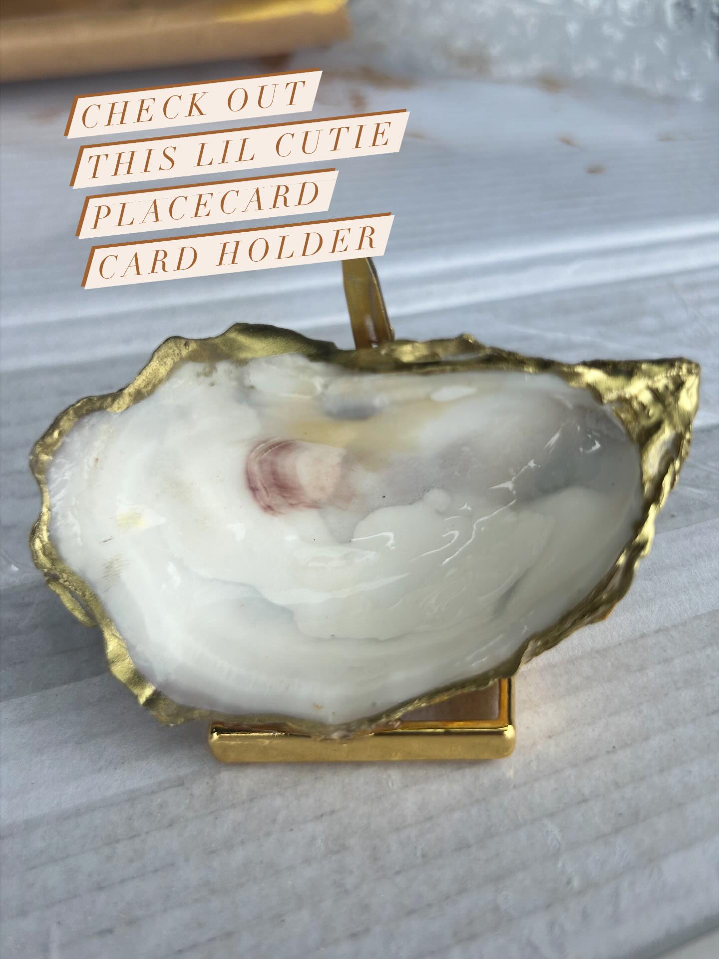 #charleston #charlestonevents #lowcountry #oyster DM me for bulk order pricing.