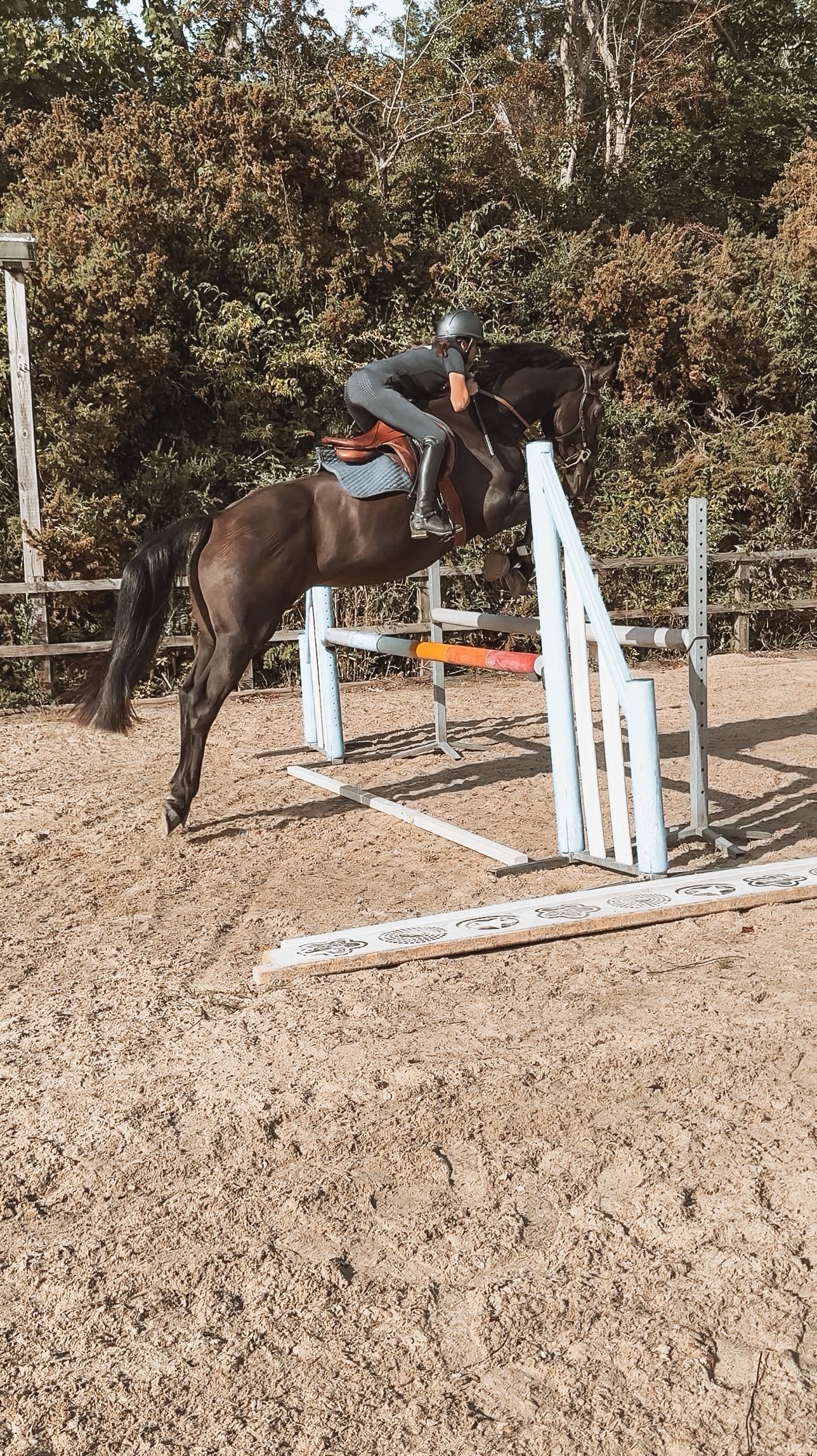 I couldn’t be more proud of the progress this guy has made. From where we started to where we are now with the healing both of us have done. Another huge indication that #healingispossible ❤️