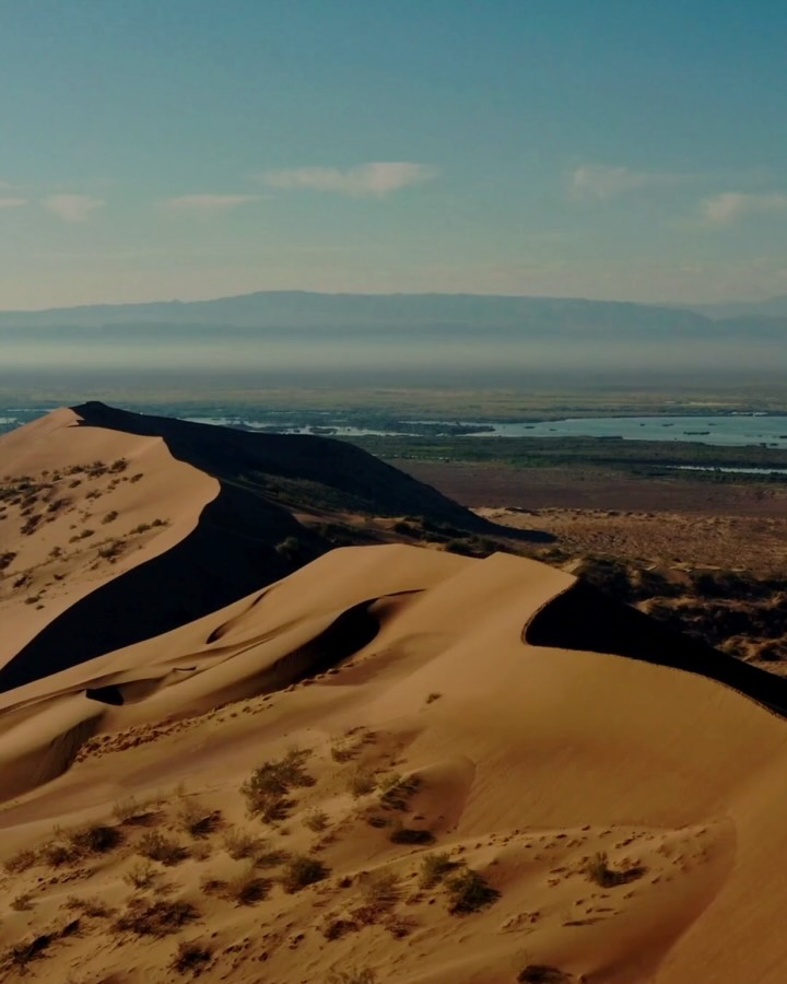 Our designs are rooted in scripture. The inspiration for “FED IN EXILE” is the story of provision to the prophet Elijah. Although we have faith in the hope of things unseen, we are not promised an easy life. God, however, has shown endless mercies in providing for us in every season. Jehovah Jireh, indeed.
www.salted-fig.com
#saltedfig #ChristianApparel #FaithBasedFashion #ChristianCreative #SaltAndLight #FaithLife #ChristianLiving #RootedinChrist