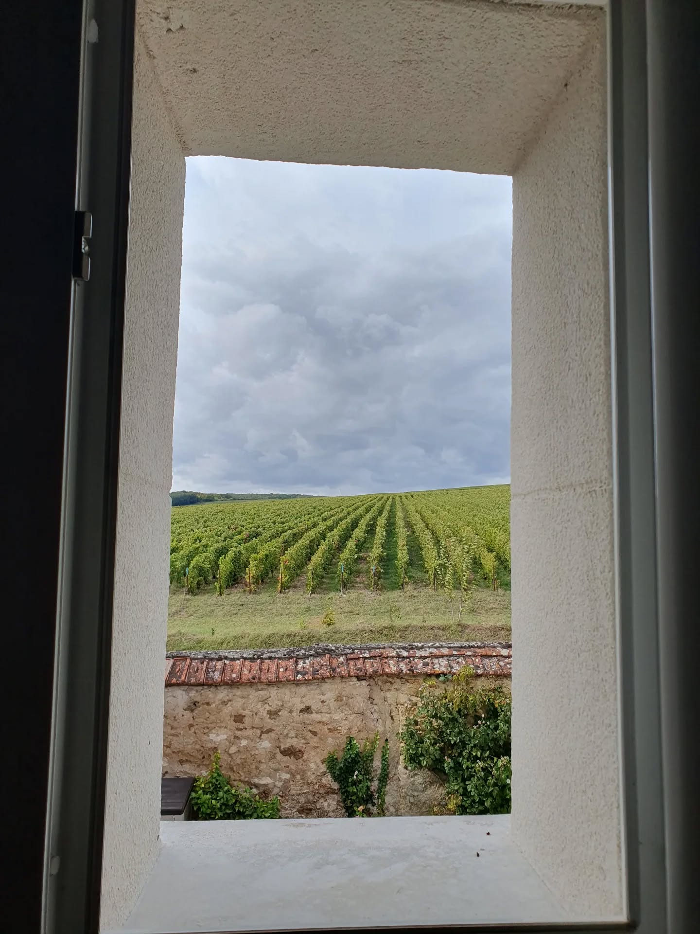 Comme un tableau... 🍇🌿
Voici la vue qui se profile lorsqu'on ouvre la fenêtre de la salle de bains du gîte @labellelongere 💫
👀Un panorama typiquement champenois façon carte postale pour le plaisir des yeux 🤍
(La Belle Longère, gîte 3 étoiles et événementiel au milieu des vignes de Champagne, oenotourisme et séjours au vert en famille et entre amis, meublé de tourisme premium tout équipé 10 personnes, kids friendly)