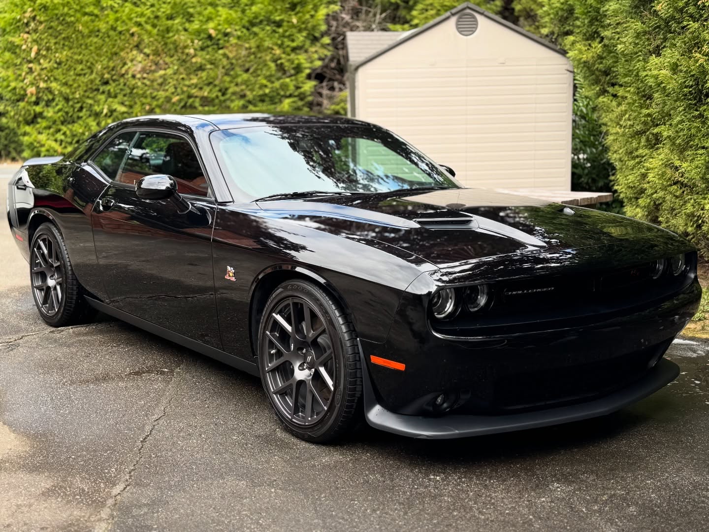 Challenger Scat Pack Received our Prestige Package Detail + Scratch Removal😍 This is our top package and we provide a full interior + exterior detail, seat + carpet shampoo, and paint polish‼️
Interested in getting your investments professionally detailed and protected? We come to you! We service Surrey and surrounding areas. Feel free to message or call us.
📱 604-506-1359
📅 Everyday 7:00am-7:00pm
📌Appointments Only!
————————————————
We provide
🧼Interior/Exterior Detailing
🧼Ceramic coatings
🧼Seat/Carpet Shampoo
🧼Paint Corrections
🧼Paint Enhancements
🧼Scratch Removals
🧼Claybar & Wax
🧼Leather condition
🧼Headlight restoration and much more
-
-
-
-
-
-
-
#surrey #vancouver #langley #richmond #detailing #mobiledetailing #carwash #cars #srt #dodge #scatpack #mustang #trending #fyp
