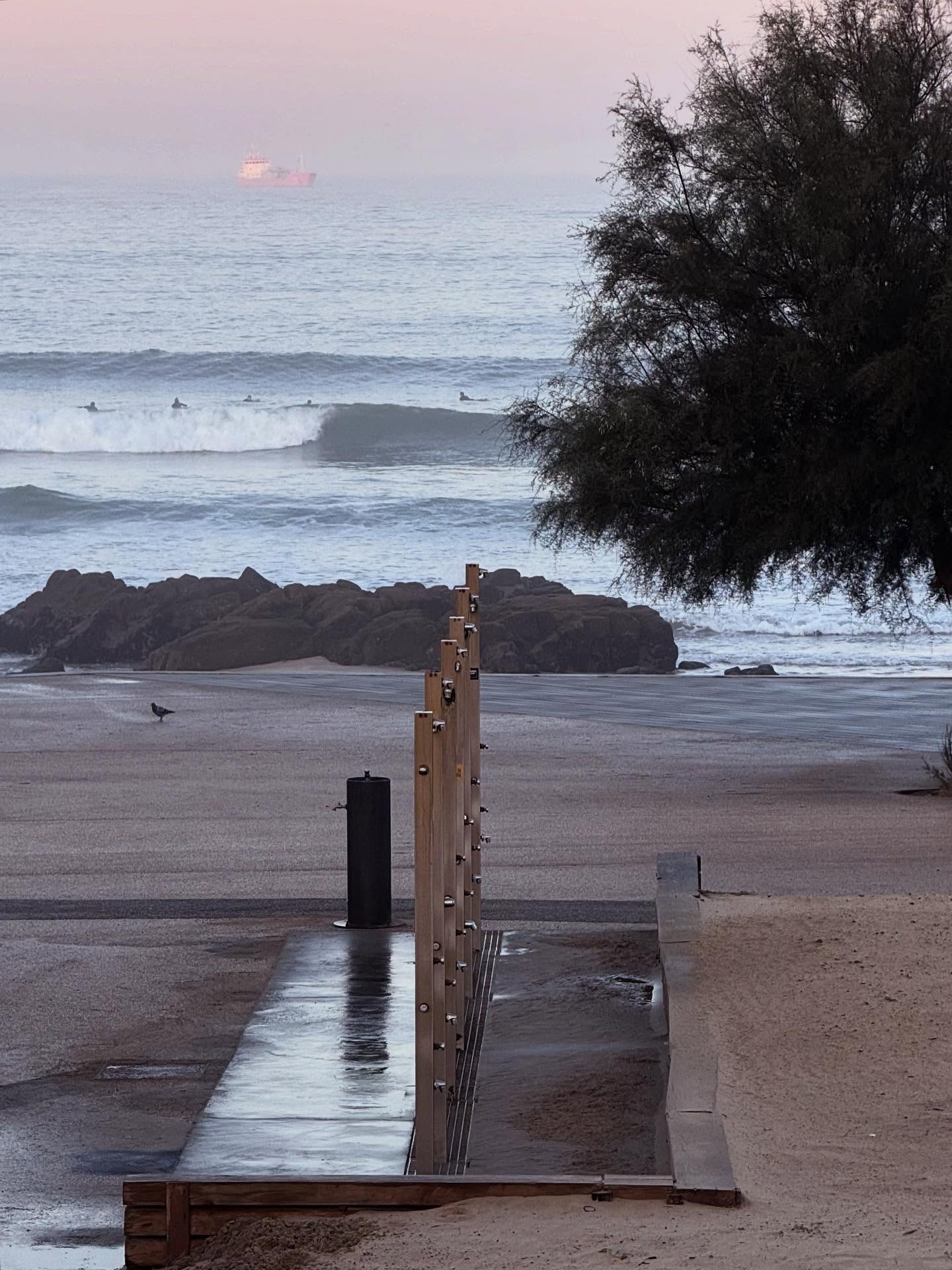 Yesterday’s dawn patrol session was a good one at the homebreak with PIP showing again good sandbars for us goofy footers… sleds du jour were on the midsize with a 2+1 7’6 panacea egg @joshhallsurfboards and a big fish 7’3 trifin @msd_surfboards. Crewman @__ricardocarvalho__ is driving the 7’6 through a high line in his last wave of the session.
#surfporto #surfportugal #surfclub #surfboardclub #oportosurfboardclub #surfboard #joshhallsurfboards #eggsurfboard #fishsimmons #bigfishsurfboard #surfing #surf #surfboardfins #101fins #finjaktoolfree #finjak #finjakeu #homebreak #praiainternacionaldoporto