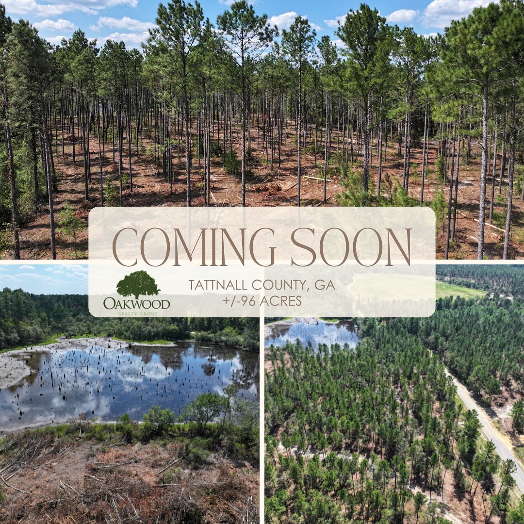 New Listing Coming 🔜🌲🦌🦆
.
This Tattnall County gem of a tract is +/-98 acres and not but a 10 minute drive to Ohoopee Match Club or Cobbtown.
.
25 year old pines freshly thinned down to a 65BA & ready for you to establish your next weekend get-a-way to hunt🦌, fish🎣& play. The property also has a +/-19ac agricultural field 🌱currently leased for row crops but could easily be turned into your next dove 🕊️field.
.
You don’t want to miss this one, so feel free to reach out to line up a showing today
.
Jase Brooks
Oakwood Realty Group
📱: 678.414.5505