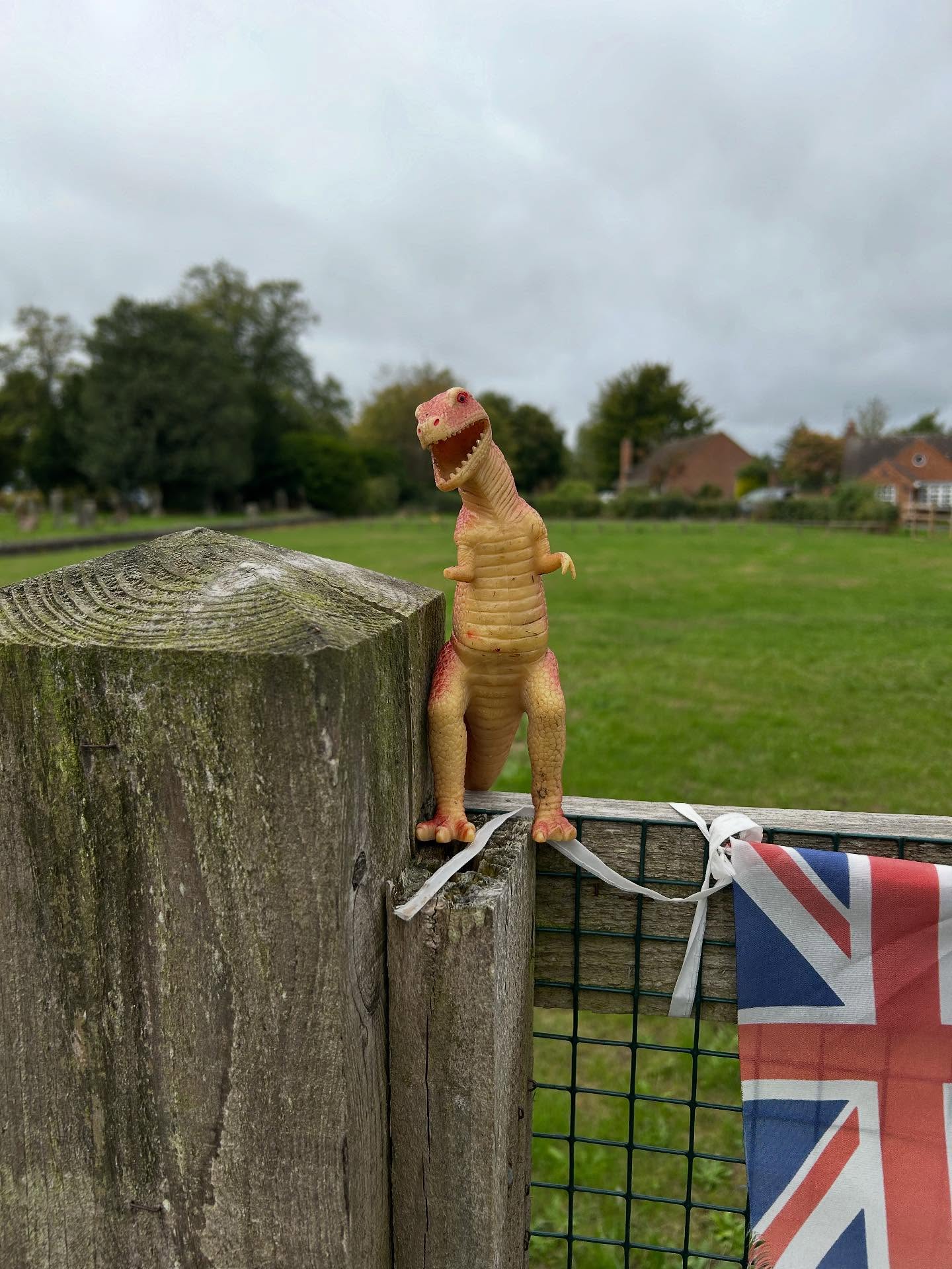 Thank you to whoever returned our dinosaur to our garden 🦖
#steppingstones #nursery #eyfs #newterm #newstarters #settlingin #preschool #claverdon #warwick #henleyinarden #education #childrenscreativity