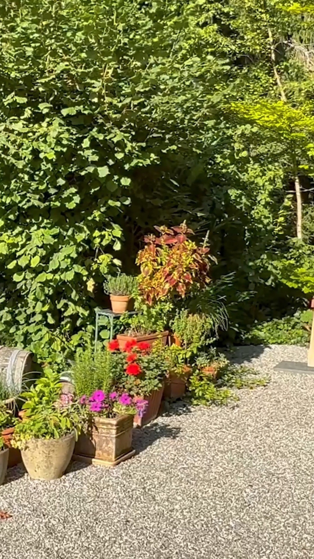 🏔 Urlaub über den Wolken – Exklusives Ferienhaus in Traumlage 🏡✨
Oberhalb von Dornbirn erwartet dich dieses luxuriös ausgestattete Ferienhaus mit spektakulärem Panoramablick bis zum Bodensee. 🌅
📩 Interesse geweckt? Kontaktiere uns für weitere Infos oder eine Besichtigung vor Ort!
Roberto Romanin 📞+43 664 1617816 📨roberto.romanin@bb-immobilien.at 🌏https://www.bb-immobilien.at/haus-kauf/bb-25-01021
#Ferienhaus #Dornbirn #Bodenseeblick #Luxusimmobilie #Naturgenuss #Hideaway #Alpenidylle #WellnessZuhause #Bödele #ImmobilieMitAussicht #FreiraumFürIdeen #immobilien #realestate #hauskauf #investment #vorarlberg #immobilienvorarlberg #wohneigentum #HauskaufVorarlberg #HausMitGarten #WohnenImGrünen