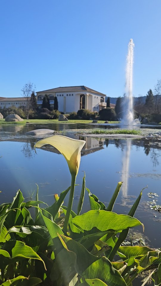 El paraíso en la tierra se llama Estancia El Cuadro en el Valle de Casablanca... 🇨🇱 Al menos así lo sentimls nosotros 😉👍
Más información en www.elcuadro.cl