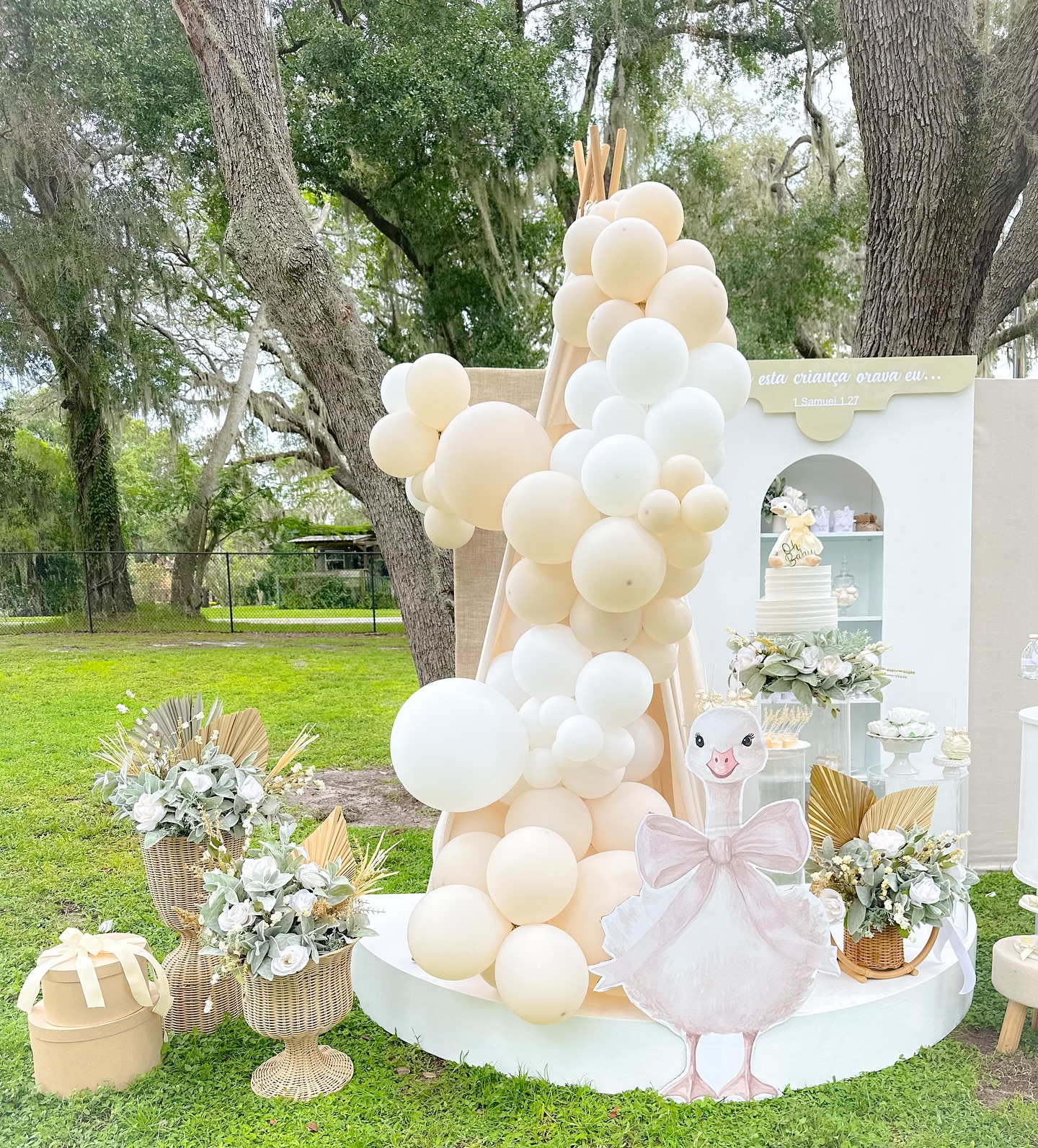 A cute gender reveal 🥰