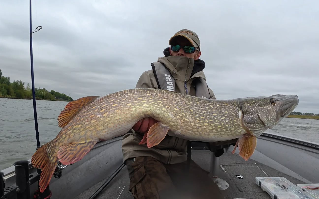 🎣 River Monster Alert!
John landed this absolute unit of a pike on a mere 20g rod—talk about skill and finesse.
Witness the power 💥
#yamahaprofishing #batterylabs #lurefishingguide #ufxfishing #spro #proventocatch #shimanoreels #stcroixrods