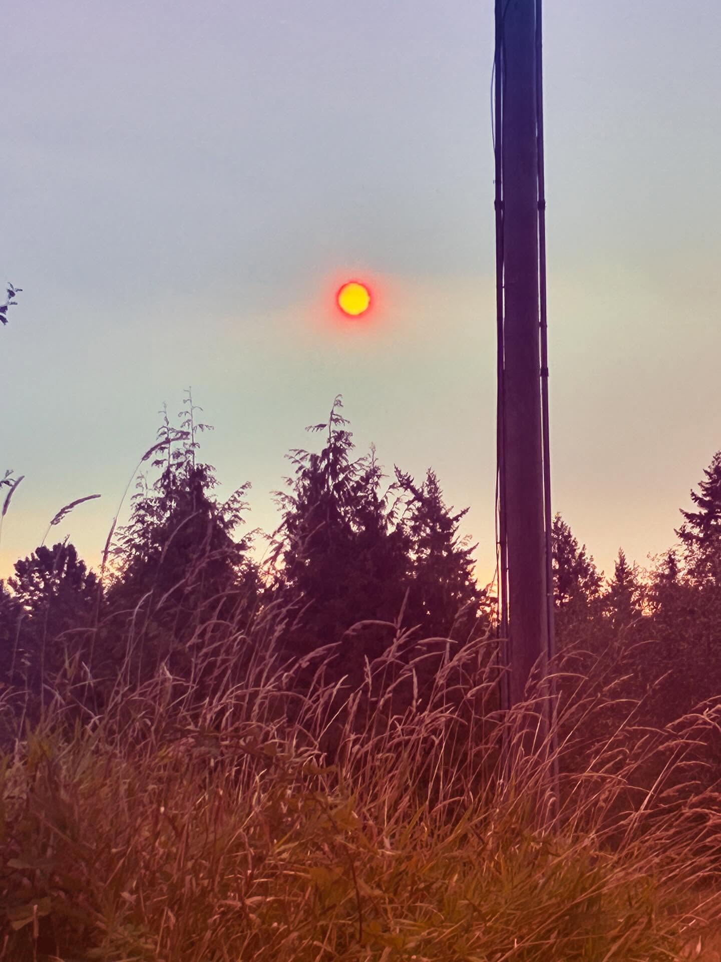 At least the end of the world is pretty