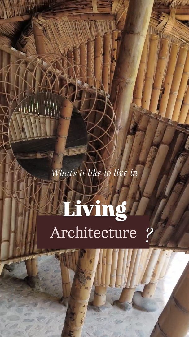 What if home was an invitation into nature? This is the Moon House, built in 2020 as part of the Bamboo Village in the valley of San Blas. It was designed as a crescent shape within a natural circular opening in the forest.
.
The form is created with bamboo trusses that radiate out from the centre of the circle. They become a doubly curved ceiling internally and an organic pitched roof externally. The threshold between inside and outside is gently held with a series of dancing columns.
.
Here a rainforest village is emerging, with like-minded neighbours creating bamboo homes like this. Can you imagine living in - or creating - a house that brings you into deep connection with nature?
.
#bambooarchitecture #homeinnature #architectureasart #ecobuilding #bamboo #lifestyle #adventure #homeinthewild #naturalhouse #keepitwild #forestlovers