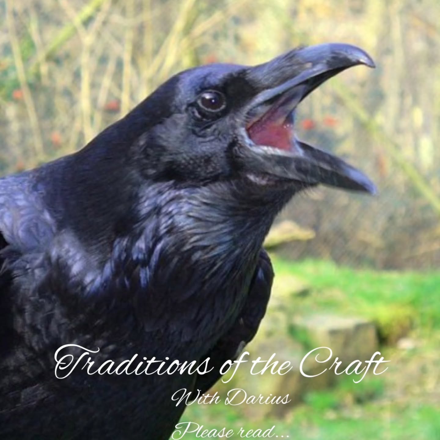 Are you a Witch or aspiring to be? Have you been looking for a strong foundation from which
to build a fulfilling, dependable practice? Do you wish to find a deeper connection to the seasons to
the divine, and to yourself?
Darius, Our Local TAG Witch (TAG short for Thelemic Al-Gard) is forming a closed in-person study group to share the teachings of their tradition. Due to limitations of space and scheduling, the size
of the group will be limited, so interviews are being held to assess possible candidates.
If you would like to interview to be part of this group, please send an email introducing yourself
and expressing interest to TheYMCAvillageWitch93@gmail.com
#witch #witchcraft #tradition #wicca #craft #magick #gardnerian #thelemic #pagan #paganism #witchesofinstagram #pagansofinstagram #centraljersey