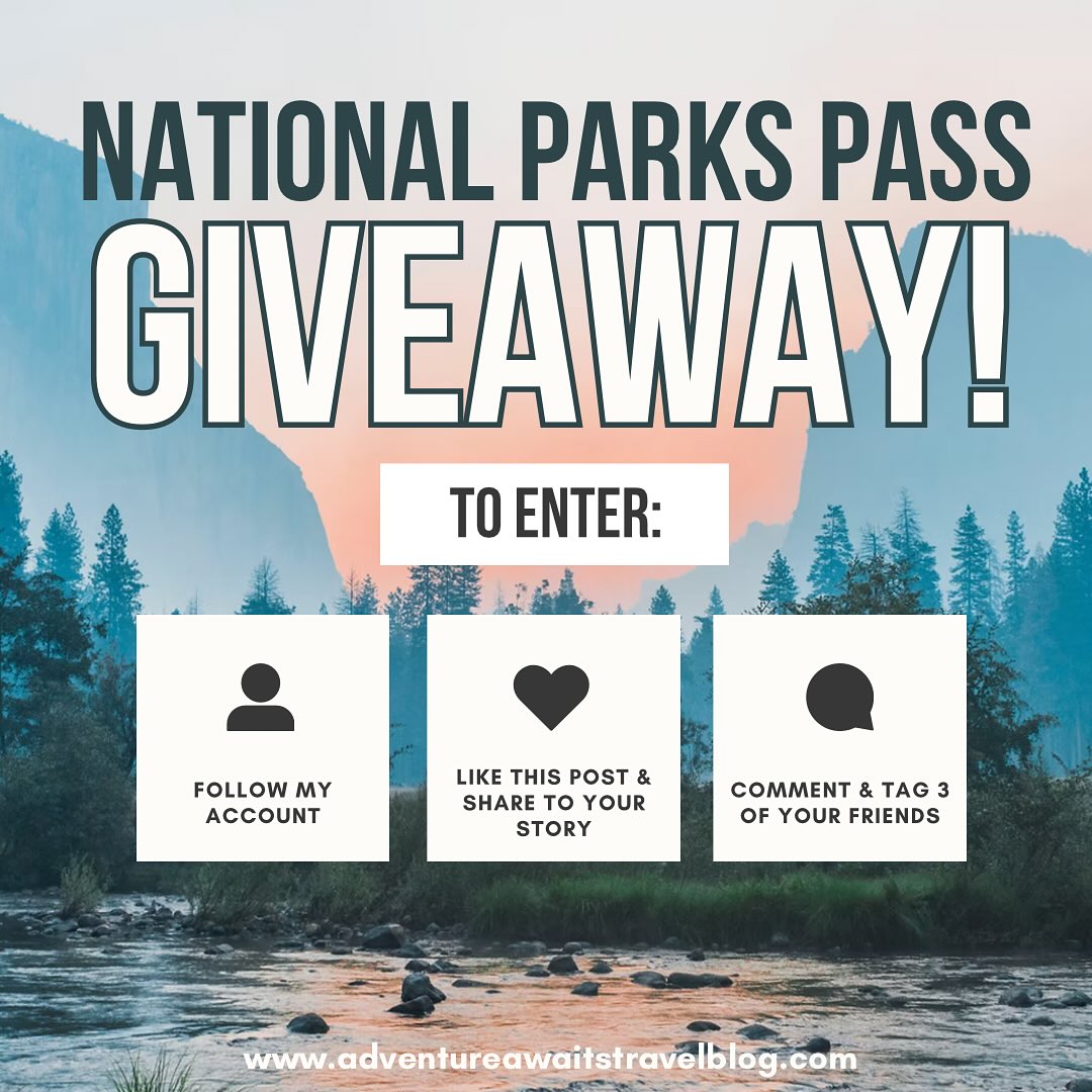 🌲✨ NATIONAL PARKS PASS GIVEAWAY! ✨🌲
I’m giving away an America the Beautiful National Parks Pass valid until June 2026 🏞️ — your all-access ticket to explore America’s most beautiful places!
Here’s how to enter:
1️⃣ Follow this account
2️⃣ Like this post
3️⃣ Share this post to your story and tag 3 friends
4️⃣ Comment below tagging 3 of your friends who would love an adventure 🥾
📅 Giveaway closes September 30th. Winner will be announced here on my page!
Good luck & happy exploring! 🌲✨