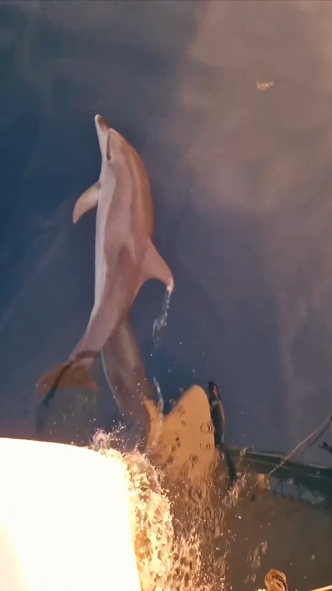 It’s not always easy living on the sea.
There are long nights, tight spaces, scary moments, and never-ending boat jobs.
But then... there are these moments.
.
#ThisIsWhyWeSail #BoatLife #SailingFamily #SailingLife #NomadicFamily #FollowThe5un #OceanLife #FamilyAfloat #SailingDreams #OurJourney #PerfectMoment