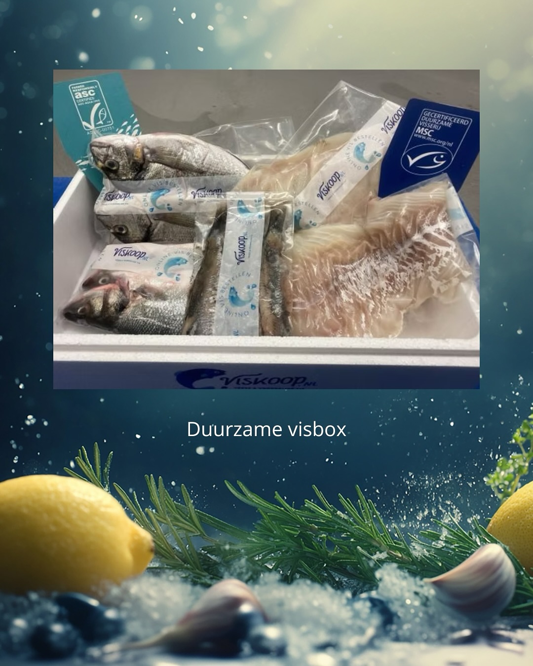 Check je vis, kies bewust!🐟 Met ASC- en MSC-keurmerken zie je in één oogopslag dat je een duurzame keuze maakt.
Wij hebben het nog makkelijker gemaakt: complete visboxen, bomvol verantwoord gevangen of gekweekte vis. Zo geniet jij zorgeloos van topkwaliteit én draag je bij aan de toekomst van onze zeeën.
Ga jij voor de Duurzame Visbox of de Goodfishbox?
#checkjevis #duurzamevisserij #msccertified #asccertified #ijmuiden