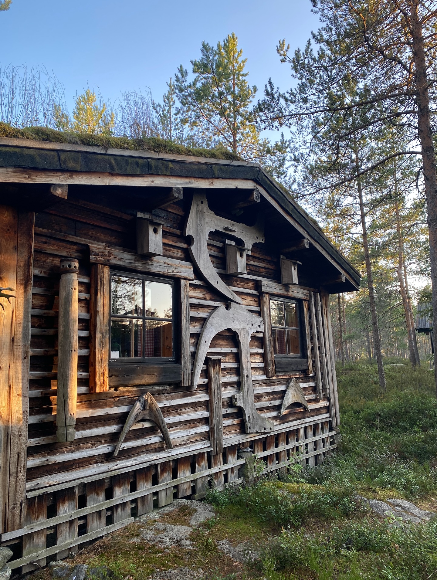 Fall is here and Nanoq is open by appointments! 🐻❄️
During this fall we will also have a few days with regular opening hours, mainly Wednesdays and Thursdays. But be sure to check our social media for updates and confirmation 🤗
This week we are open today, Wednesday 17.9 and tomorrow in Thursday 18.9. Opening hours are 12-16. Welcome! ✨