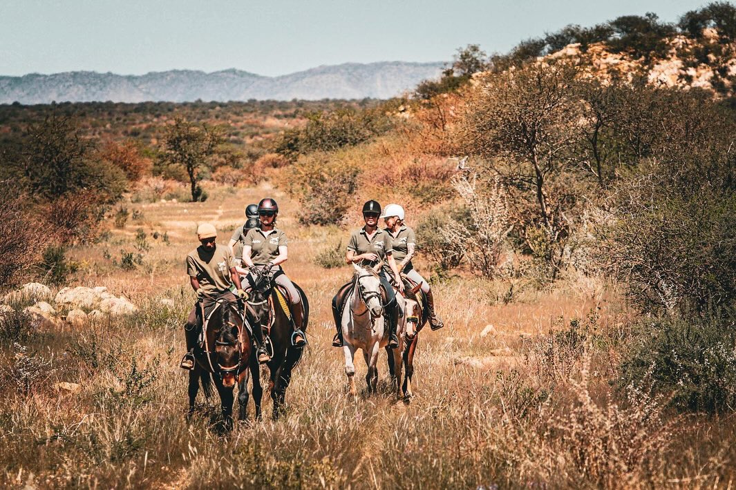 Ready to roll! Next edition of Horse Riding Safaris starts today!
Photo credit @gossakatarzyna
#horseridingsafari #horsesafarinamibia #horsesafariafrica
#konnesafari #safariafryka #namibiatravel