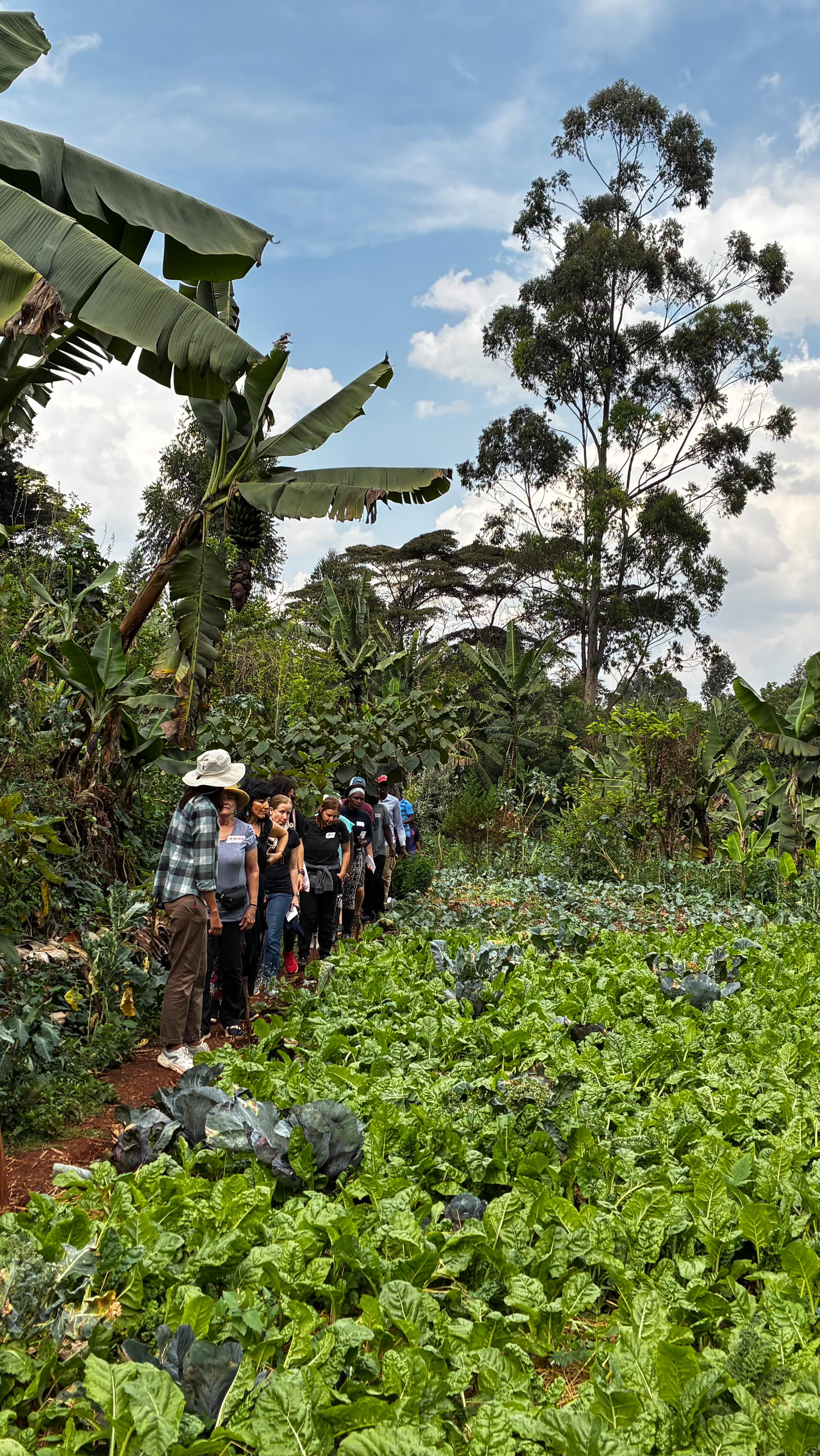 Great to be back at @mlangofarm with our Intro to Gardening course! 🌿
Today’s first session was fantastic with an inspiring group that came together from near and far to explore the fundamentals of getting started, whether refreshing existing practices or beginning a brand-new kitchen garden! 🌾 We dove in to many different topics and discussions.
We can’t wait to see everyone again tomorrow as we dive into hands-on, practical sessions in the garden! 💦🌾 🫘
#gardeningcourse #introtopermaculture #biointensivegardening #regenerative #composting #soilhealth #integratedpestmanagement