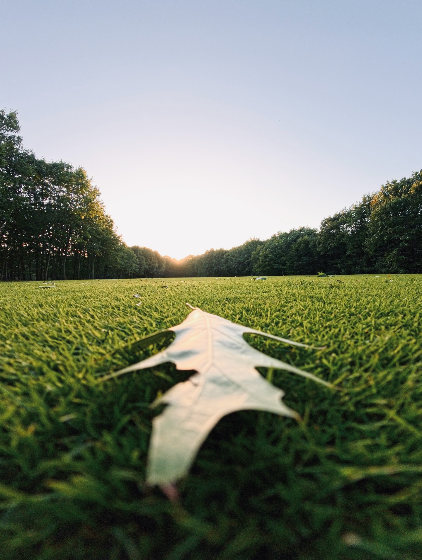 Der Herbst naht. #golf #vechta #oldenburgermuensterland #golfdeutschland