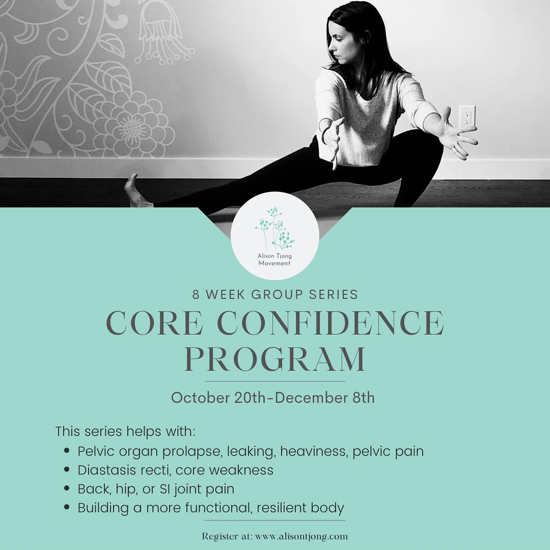 Are you ready to do something different?
To learn more about yourself, to be in relationship with your body, to feel more connected?
To stop trying to fix, and to start to tune in instead?
This is the work we do in Core Confidence. It has helped many, many women not only see their symptoms improve, but also change how they view their bodies and to move forward with more understanding.
We start October 20th- link is in my bio for all the details.