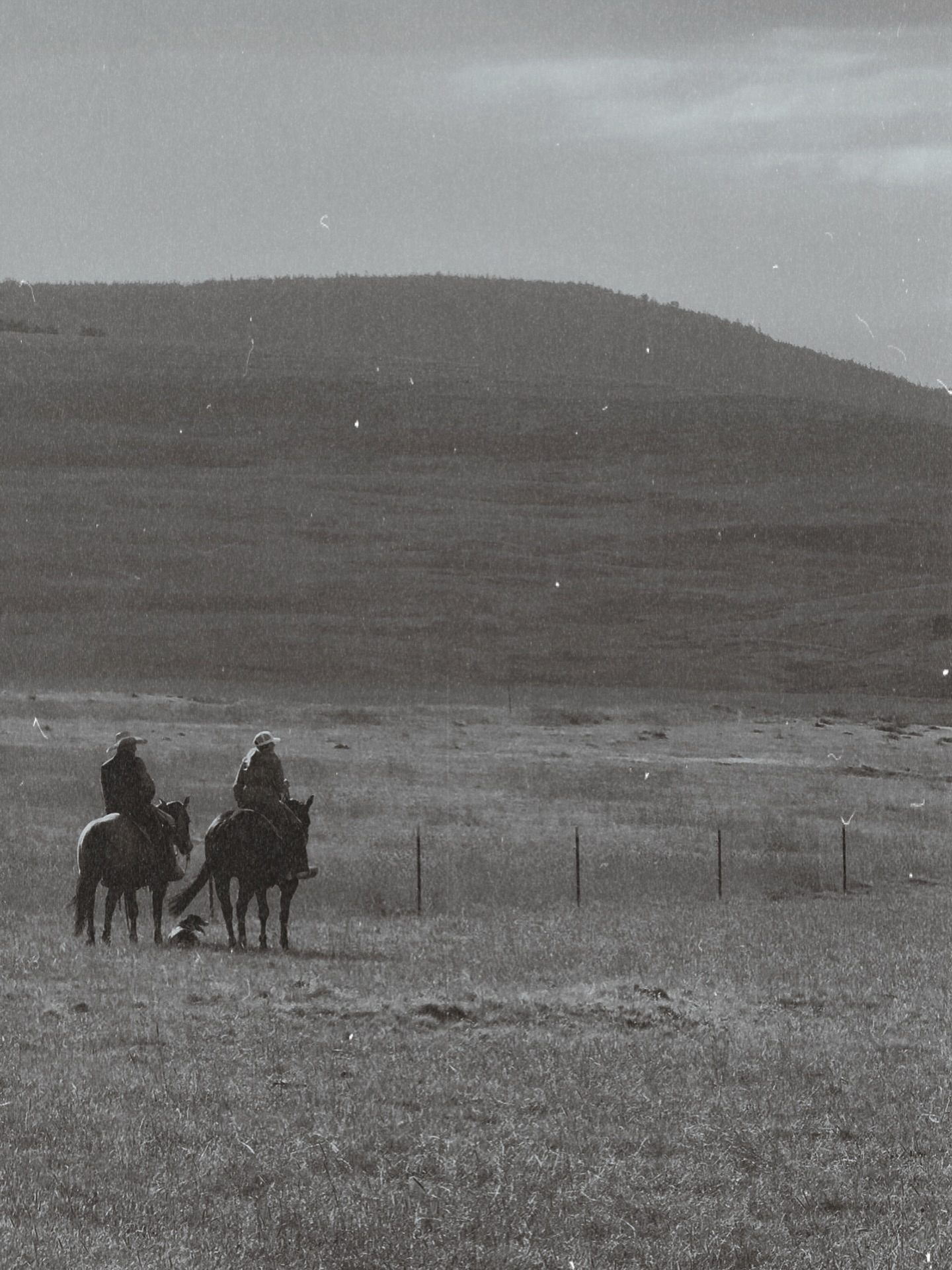 One thing that inspires me every single day is the land we walk on.
This is where the inspiration for design begins for me. As I walk each step, I am reminded that home should always reflect what matters most. And the extraordinary thing is that for each of us that looks a little different.
I’d love to hear, what’s one thing in your home that reflects what matters most to you?
#1889designs | #whatinspiresyou #reflectionofyou #designinspiration #yourhomeisyou