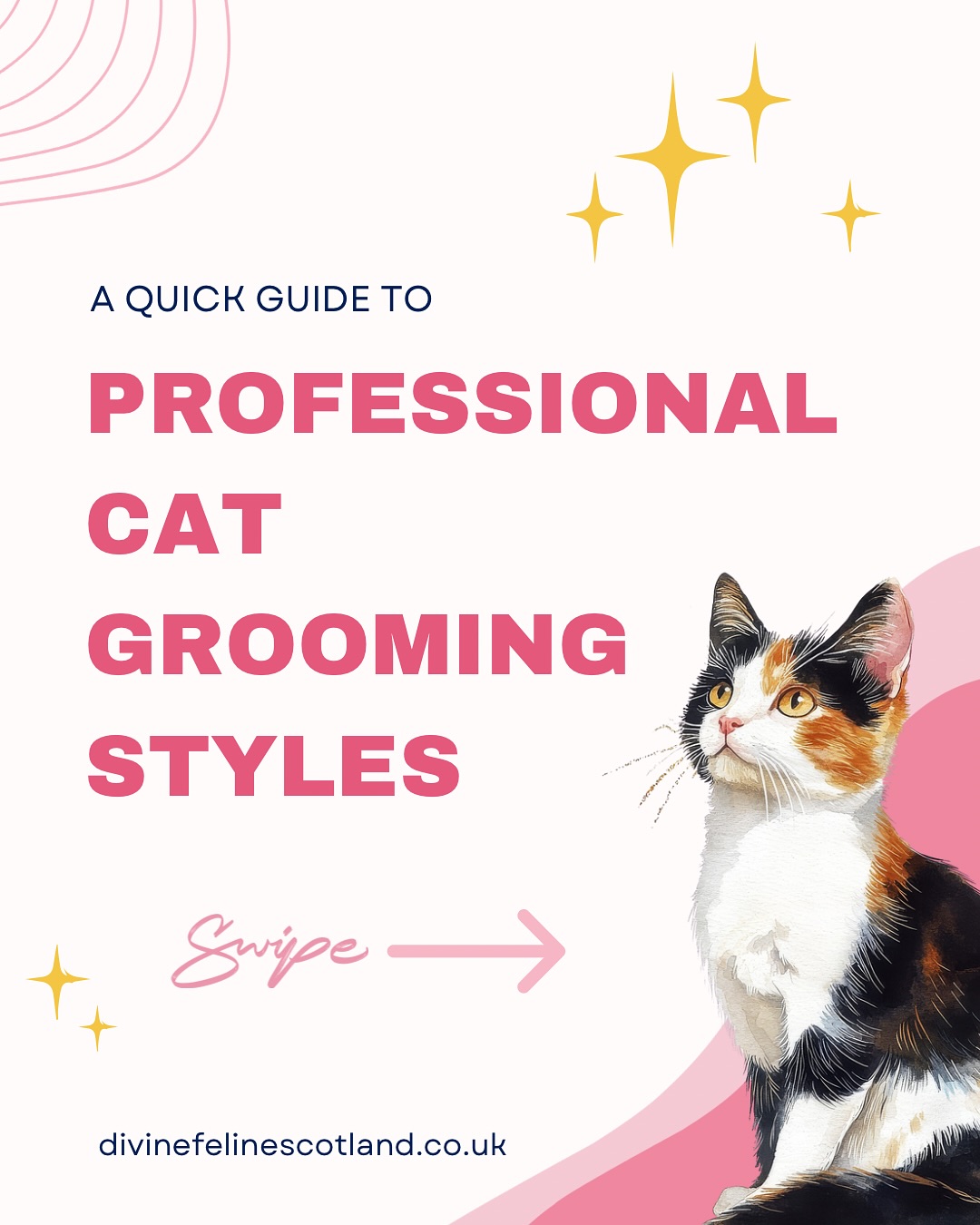✨CAT GROOMING STYLES✨
Ever wondered what the difference is between a teddy trim, a lion cut, or a simple de-shed? 🐱✂️ This carousel walks you through the most common cat grooming styles and what they’re used for.
Every cat is unique - and not all grooms are suitable for every cat. After a hands-on assessment, your groomer will recommend the safest and most appropriate style for your cat’s coat condition, health, and comfort 🐾💗
Our goal? A groom that keeps your kitty happy, healthy, and stress-free.
Has your cat tried any of these? Did they help?👇
#CatGrooming #CatCare #catfacts #CatGroomer #catowner