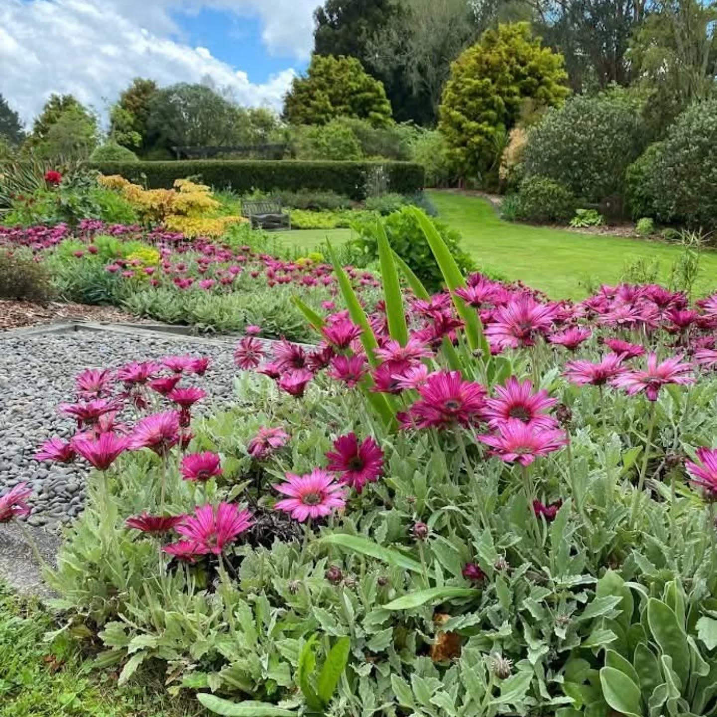 Rotorua festival of Gardens 2025
TICKETS ON SALE NOW!
ONE DAY PASSES !
Great news ! We have re-introduced the one day passes this festival!
We have a choice of 1 day passes or a 3 day pass avaliable from our website
www.rotoruagardens.org.nz
We have over 20 NEW gardens in this year's festival, with a total of over 40 gardens to visit there is something for everyone even the kids!
Tickets on sale now!
#rotoruafestivalofgardens #nzgardenfestival #nzgardens #nzgardener #kiwigardener #yatesnz #palmersnz #mitre10nz #mcgregorsnz #daltonsnz #rotorua #thingstodonz #gardensnz