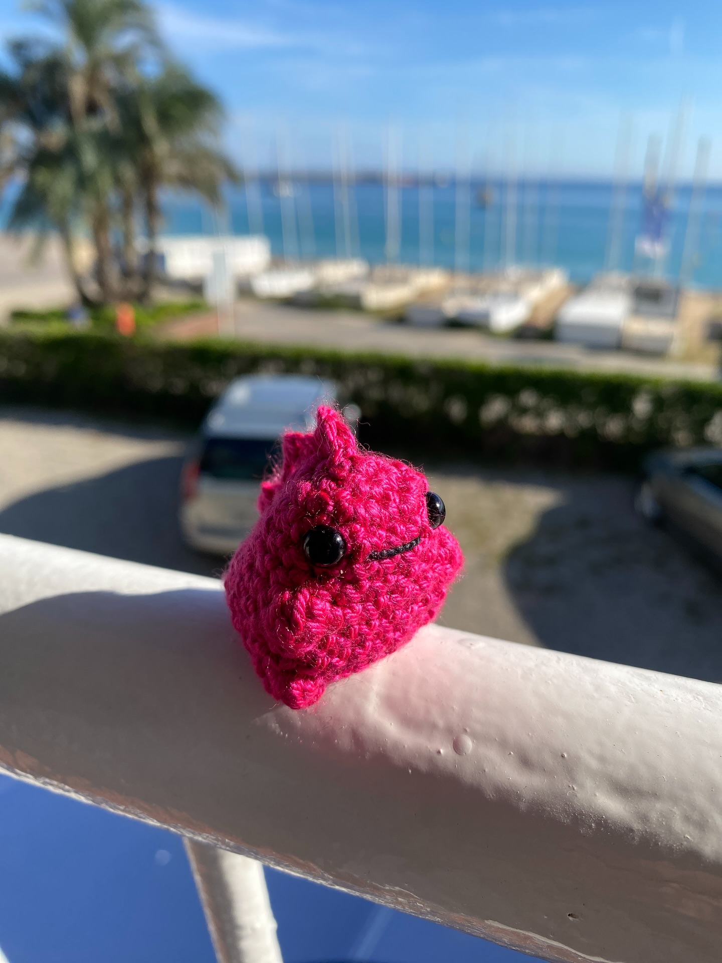 RAAWR 🦖
.
Liebe Grüsse aus den Ferien. 😎❤️
#rawr #raawr #dino #in #paradise #crochet #pink #lovely #ferien #palamos #labyrinthwuerfelontour