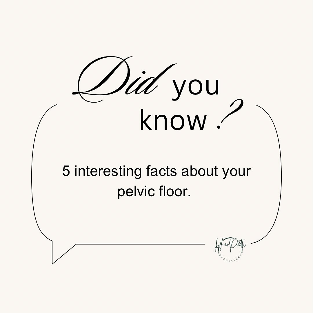 Did you know your pelvic floor is made up of three layers of muscles that move every time you breathe? 🌬️ This team of muscles supports your bladder, bowel, uterus, posture, and even responds to how your feet move!
Whether you’ve given birth, are active, or simply want to age with confidence, learning how your pelvic floor works is the first step toward better function.
Save this post for reference and share with a friend who needs to know these facts.
Follow along next week for Signs Your Pelvic Floor Might Need Support.