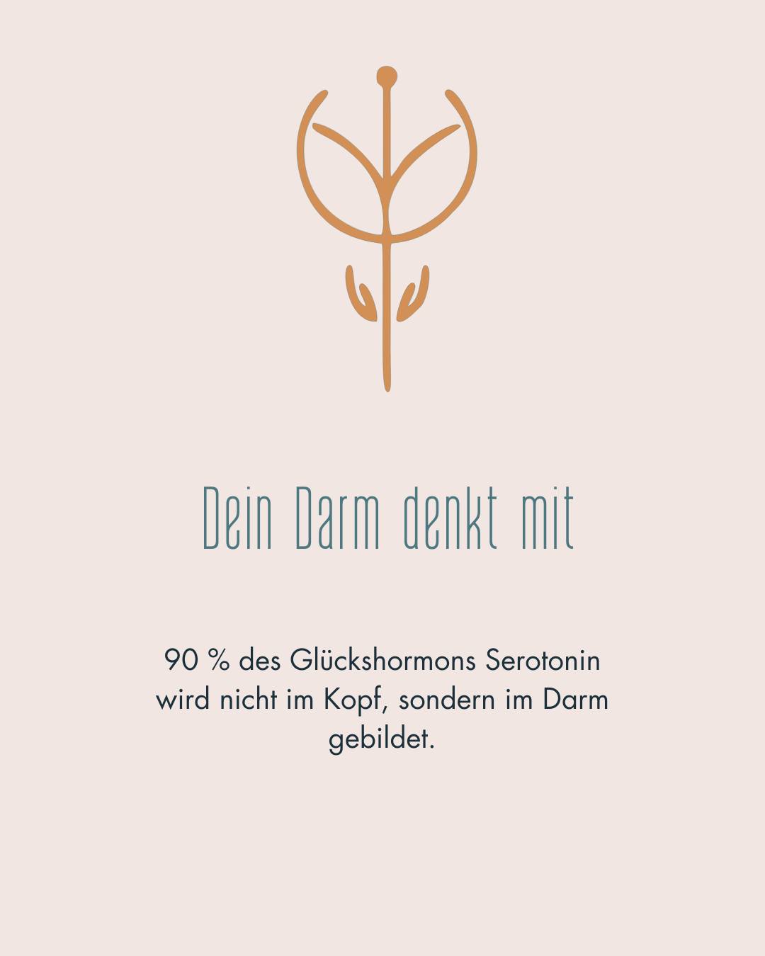 Dein Darm denkt mit
Wusstest du, dass rund 90 % des Glückshormons Serotonin nicht im Gehirn, sondern im Darm gebildet werden?
Dein Bauchgefühl ist also viel mehr als eine Redewendung – dein Darm beeinflusst tatsächlich, wie du dich fühlst.
Wenn deine Darmflora im Gleichgewicht ist, fühlst du dich oft gelassener, ausgeglichener und energiegeladener. Gerät sie jedoch durcheinander, kann sich das auch auf deine Stimmung auswirken.
👉 Speichere dir diesen Beitrag als Reminder: Dein Bauch hat viel mehr Einfluss auf dein Glück, als du denkst.