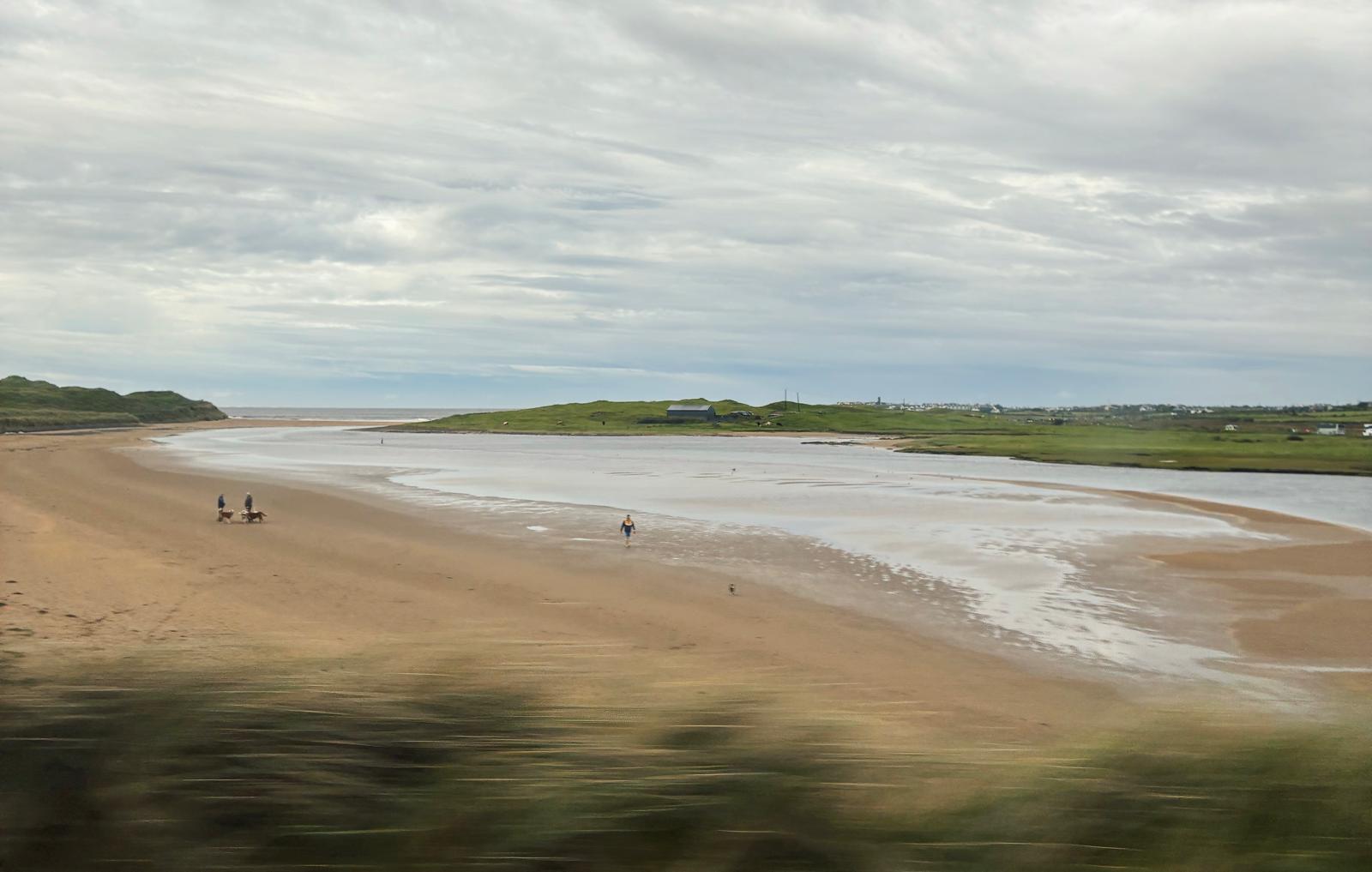 As the first official survey week has just begun, it’s time to get out to the shore! Hope you can get out this weekend, especially Sunday when we are expecting some sun!🤞🌞
LOW TIDES THIS WEEKEND: (roughly)
Donegal: around
Sligo: around 12/1pm
Mayo: around 11am/12pm
Galway: around 11am/12pm
Kerry: around 11am/12pm
Cork: around 11am/12pm
Wexford: around 12/1pm
Wicklow: around 5/6pm
Dublin: around 5/6pm
Check out: https://www.tidetime.org/europe/ireland/ for more accurate times in your region! Book your survey unit here: https://experience.arcgis.com/experience/355996d5aea146c6af4dd5ad14b99ca9#data_s=id%3AdataSource_1-19170232df0-layer-5%3A4381
