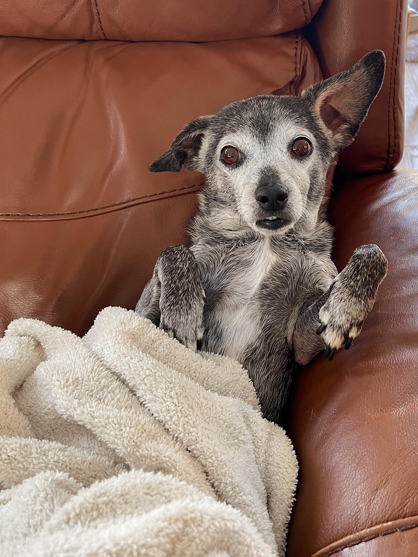 I’m not sure what to do with my hands.
(Bonus points if you know what movie this is from. Arik and I say it so much I’d forgotten and had to look it up😂)