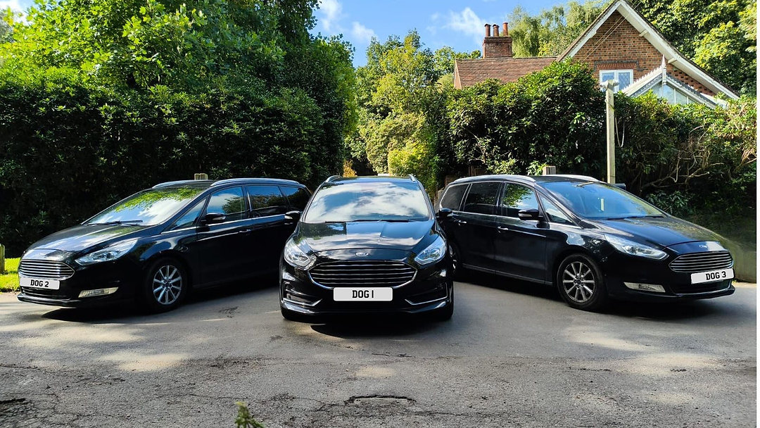 The press is asking, ‘How long are dogs in the car?’ We’ve answered in full. Blog now live - check Linktree in bio #DuncansDogCo #DogDaycareSurrey #SafeDogTravel #HappyDogsHappyOwners #DogCareUK #CobhamDogs #SurreyDogs #DogMums #DogDads #PetParentsUK #DoggyDaycareLife #DogsOfSurrey #TrustedDogCare #DogBoardingSurrey #DoggyDaycareUK