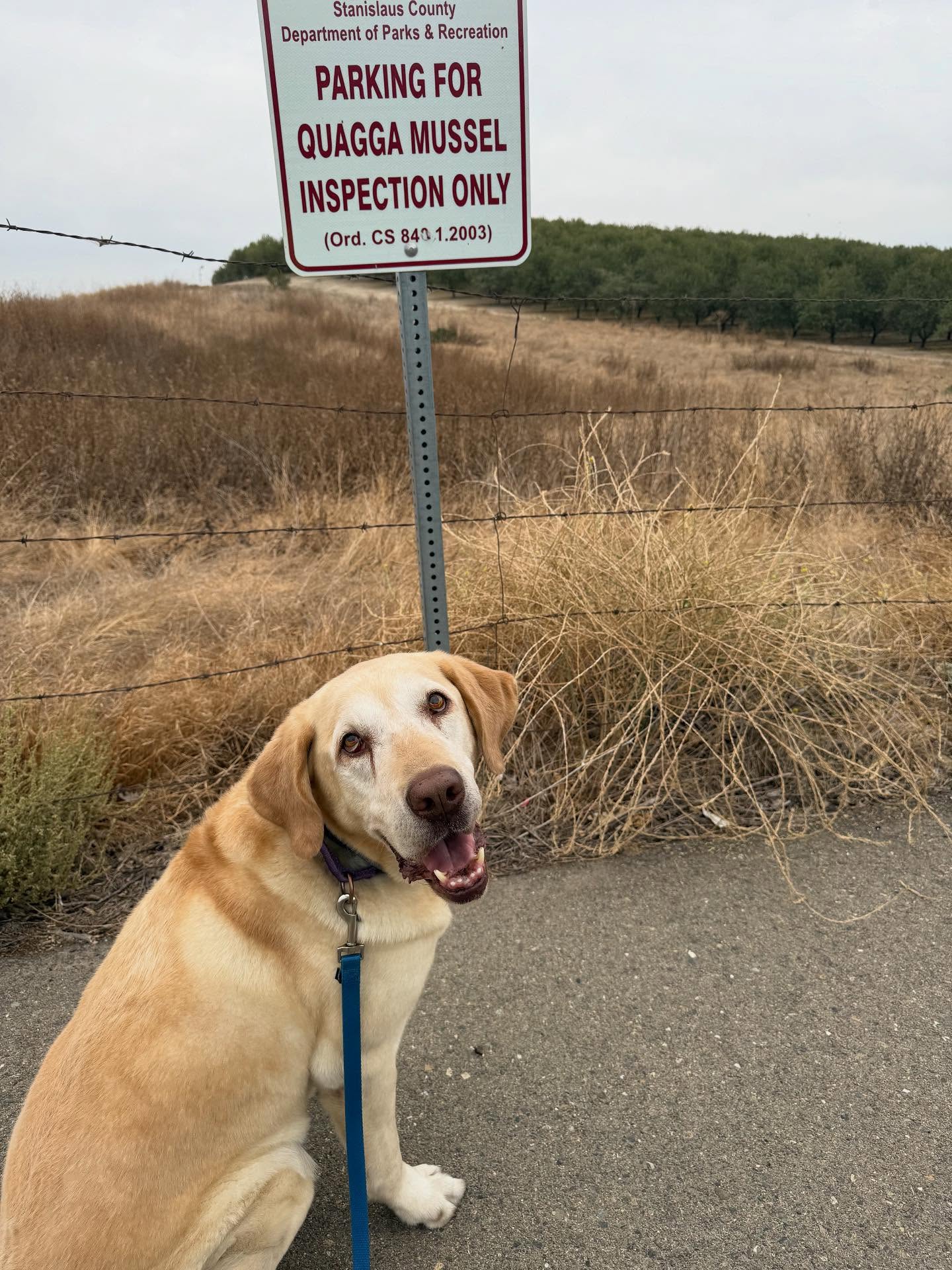 Gilligan: OK I’m parked, now what? Am I sniffing or here for a party?