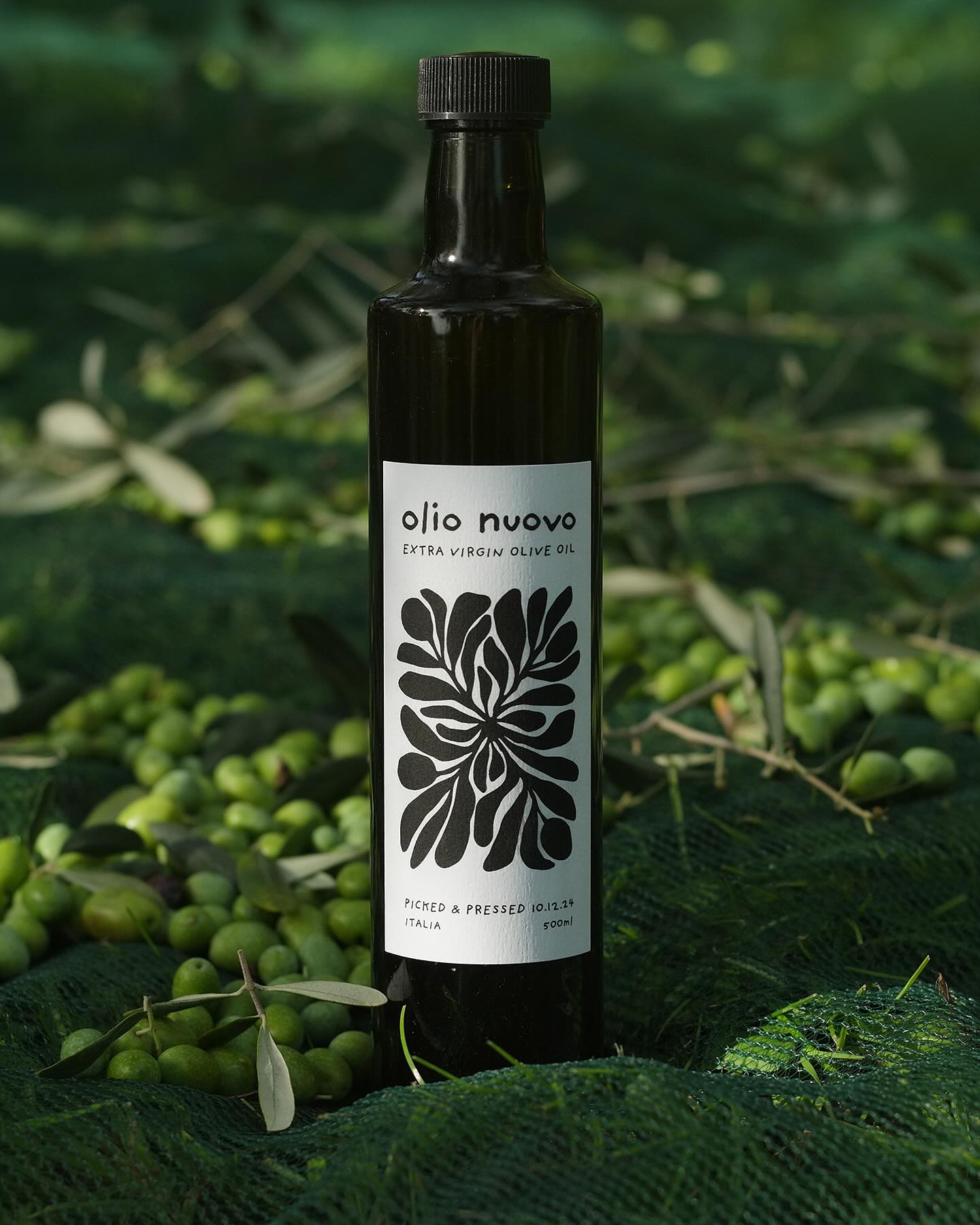 Heads up — I’m temporarily sold out in the US. Restocking Oct 3 after a quick Italy run, and then 2024s harvest is finito 🤌🫒 Hard to believe the 2025 harvest is almost here