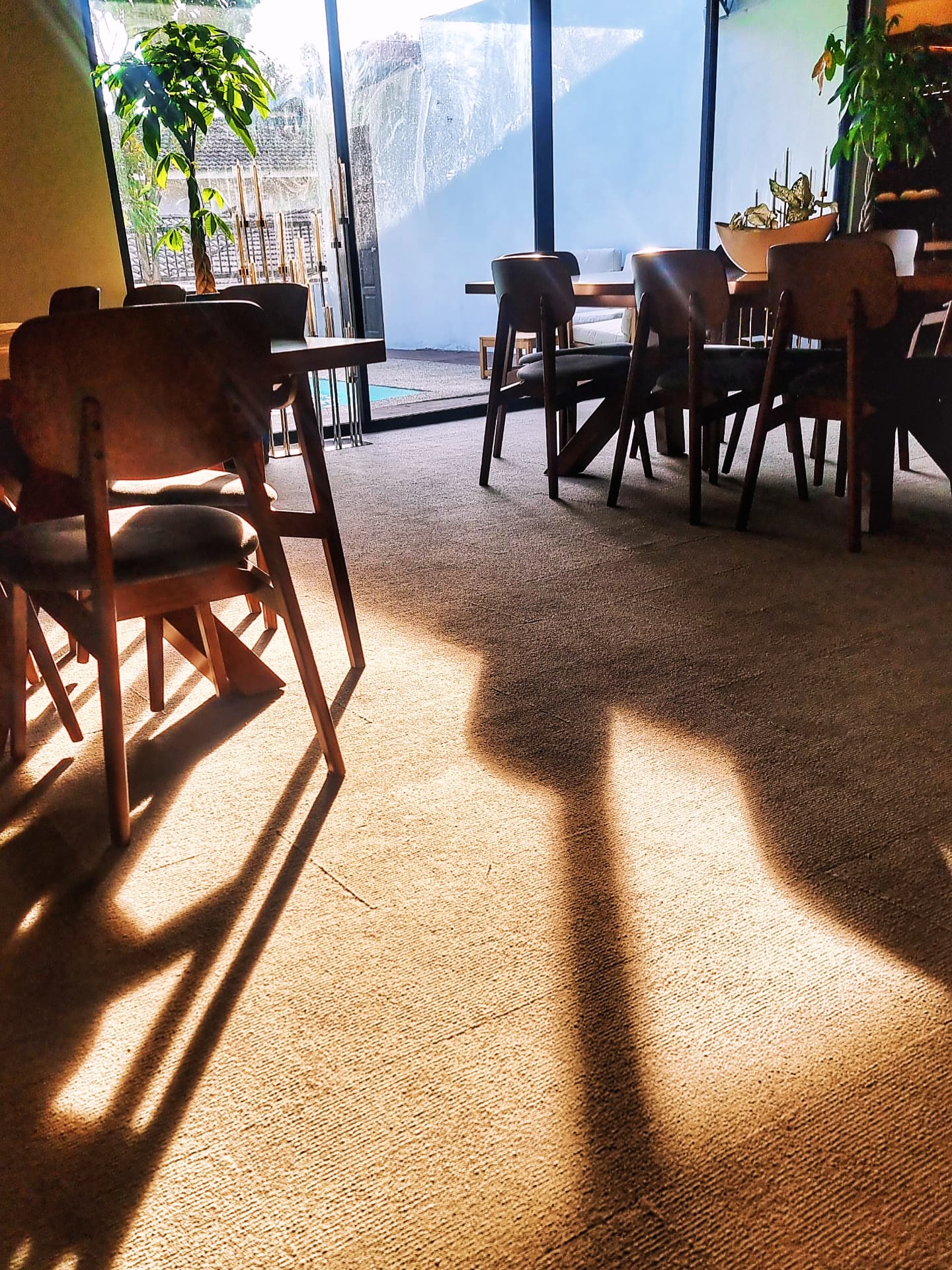 C Minor:
dark, but with a piercing ray of light not found in its melancholic sibling, D minor.
A cathartic end to a long day.
Exhale the struggle.
Embrace the longing.
Lean into the light.
This is SPQR.
You’re home.