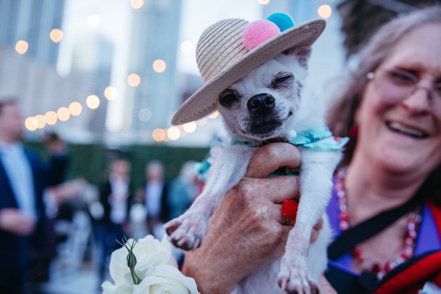 At The Oviatt, we believe your big day should include your whole world — no one left behind. 🥂🐾 #LosAngelesWeddingVenue #DTLAWedding #WeddingInspiration #EngagedCouples #CaliforniaWedding
Photo: @tinavonnphotography