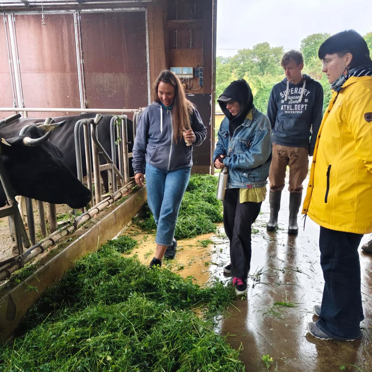 Tag 3 der Bildungsreise Permakultur 🐔
Am dritten Tag hat unser Tag beim Hofgut Oberfeld gestartet. Hier konnten wir etwas über die Themen Bürger:inneninitiative, Saisongarten und Agroforst lernen.
Die zweite Tageshälfte haben wir damit verbracht gemeinsam mit der Initiative Urban Garden ein trockenheitsresistentes Beet anzulegen. Anschließend haben wir den Abend bei selbstgebackener Pizza ausklingen lassen🍕