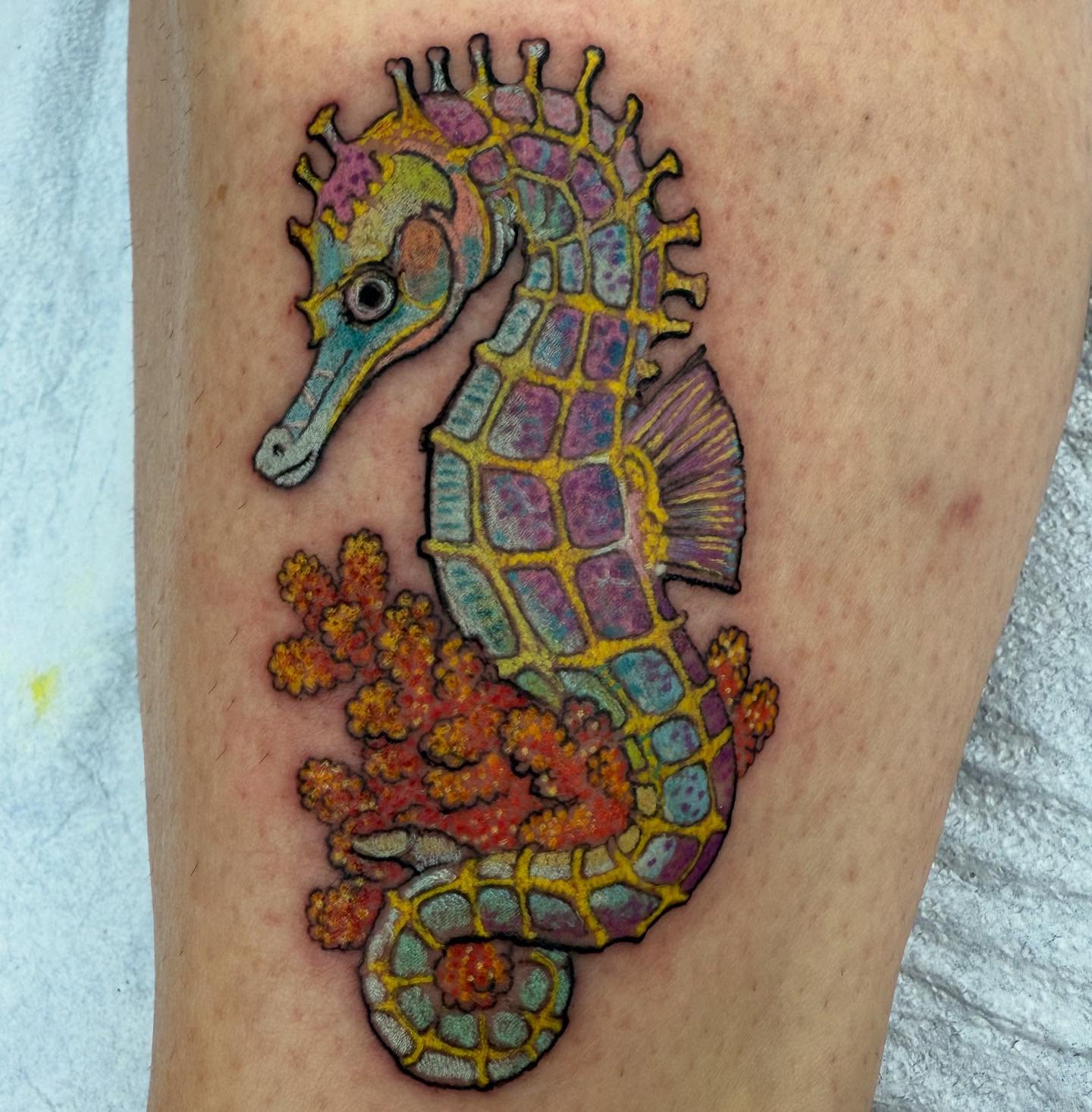 Colorful seahorse on a fun client…
