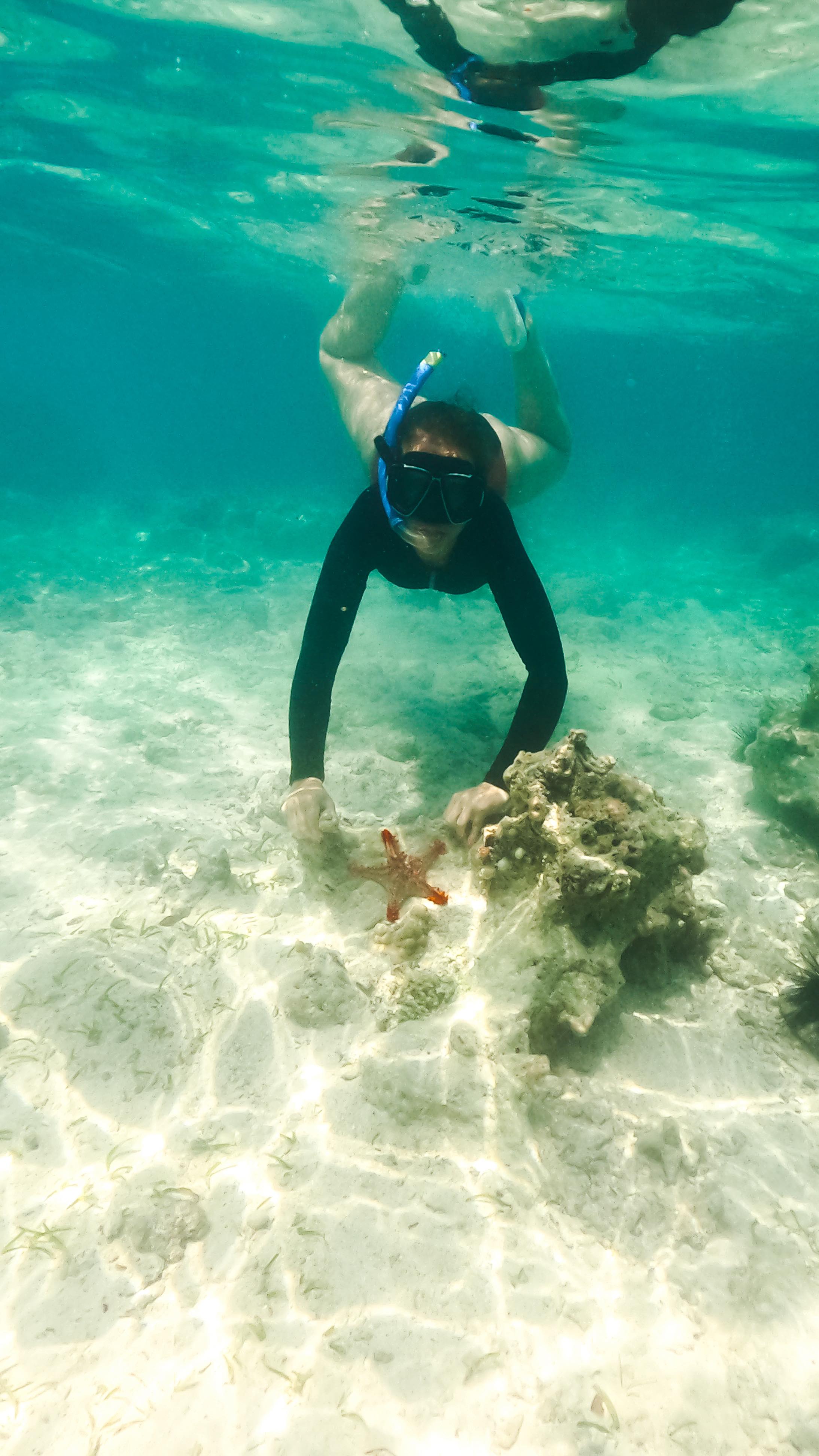 Sortie en dhow à Zanzibar
Snorkeling dans une eau turquoise incroyable !
Des fonds marins colorés, un vrai aquarium naturel
T’oserais plonger ici ?
#zanzibar #snorkeling #voyage #ocean #travelvibes